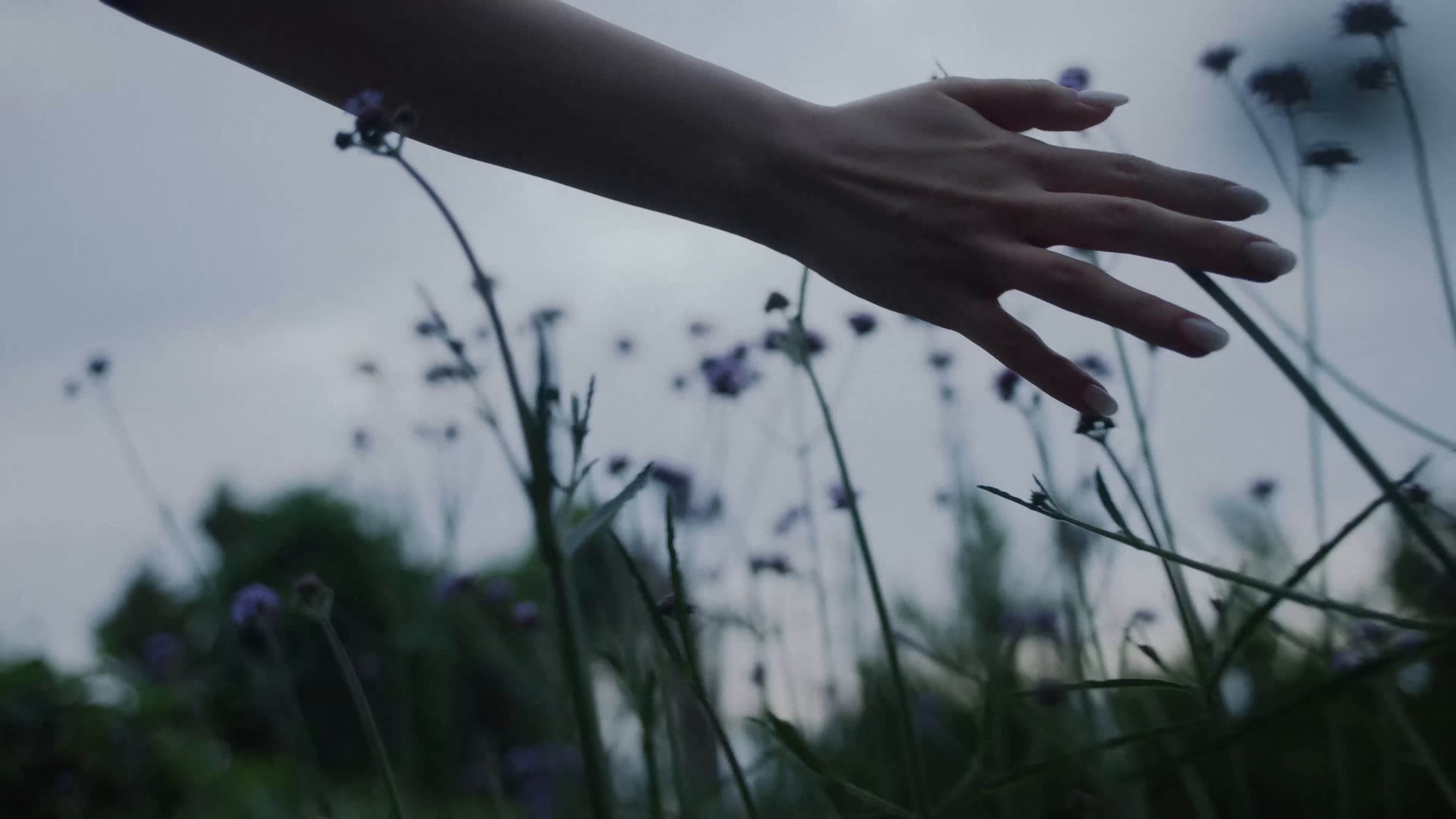 피가 모자라  (2025) —  shot,  lighting