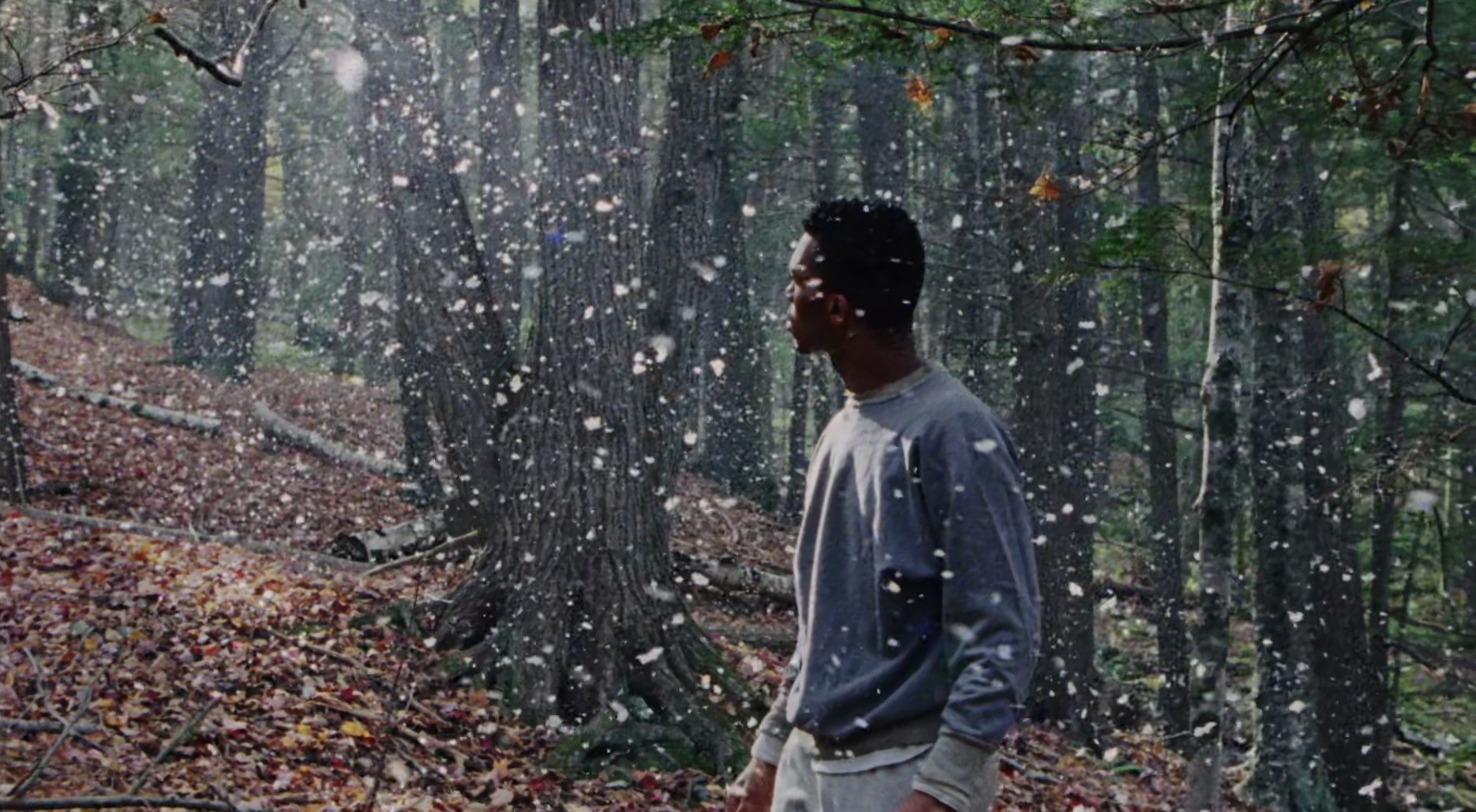 Underwaterfall (2019) —  shot,  lighting