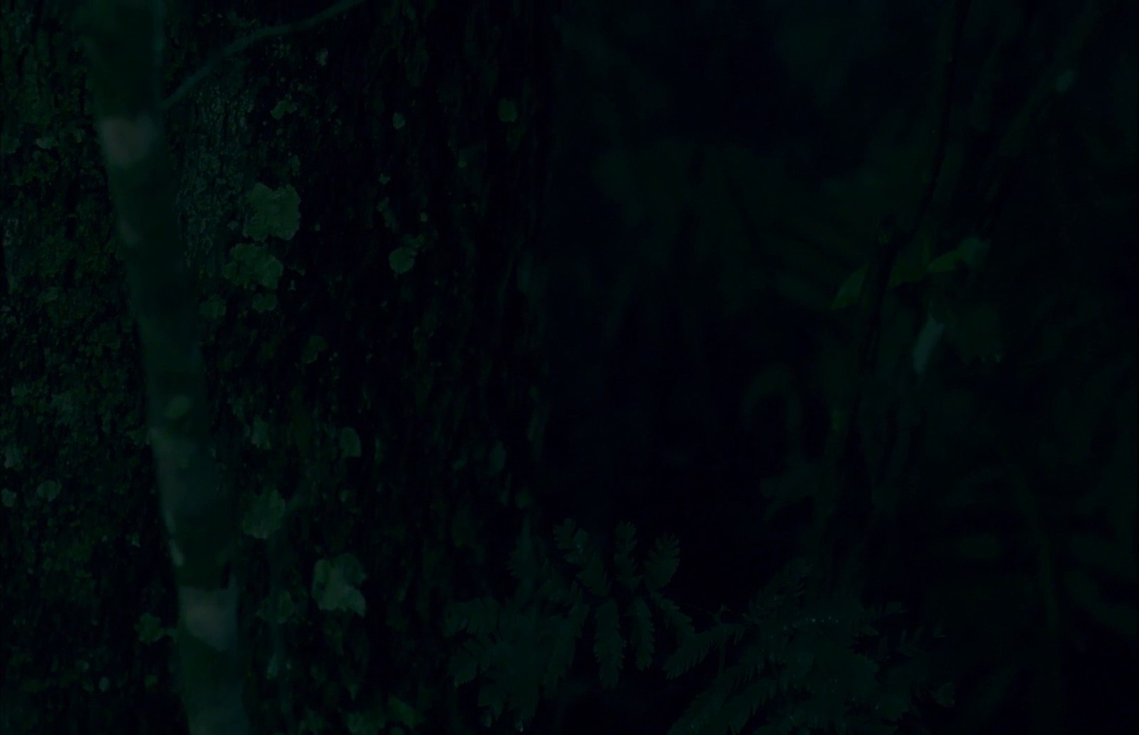 To Kill the Beast (2022) —  shot,  lighting