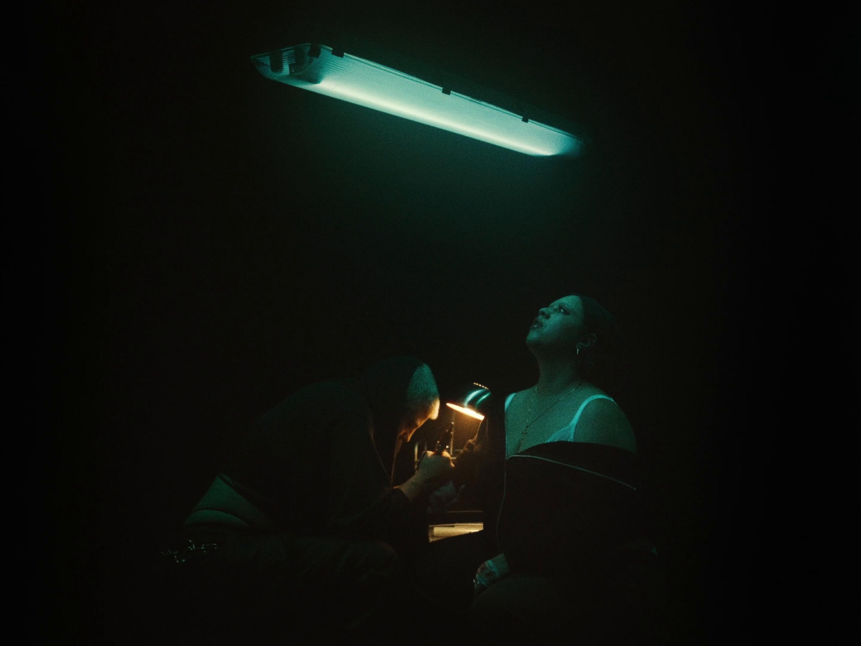 CRONACHE DI UN FIORE (2025) —  shot,  lighting