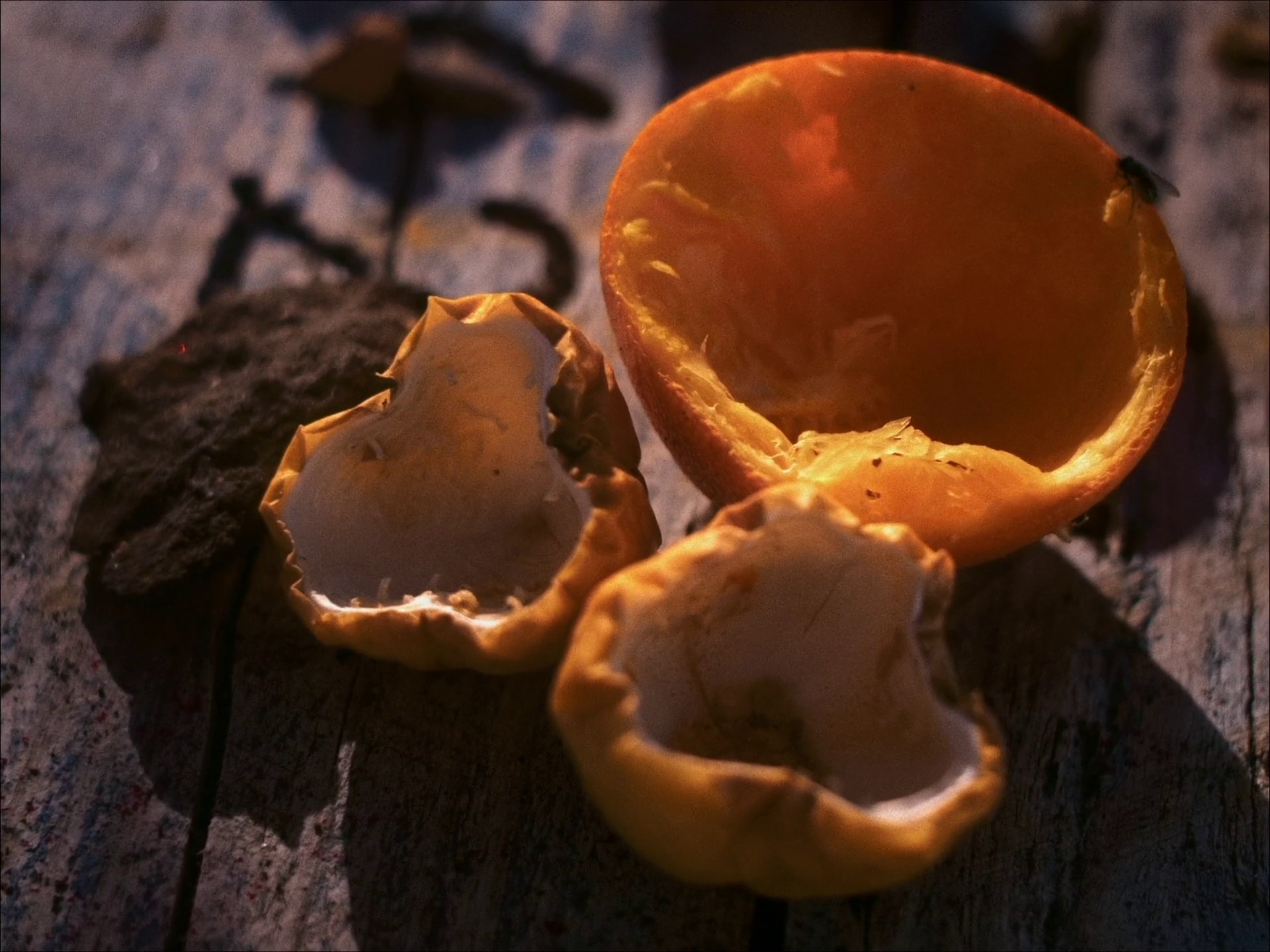 June (2022) —  shot,  lighting