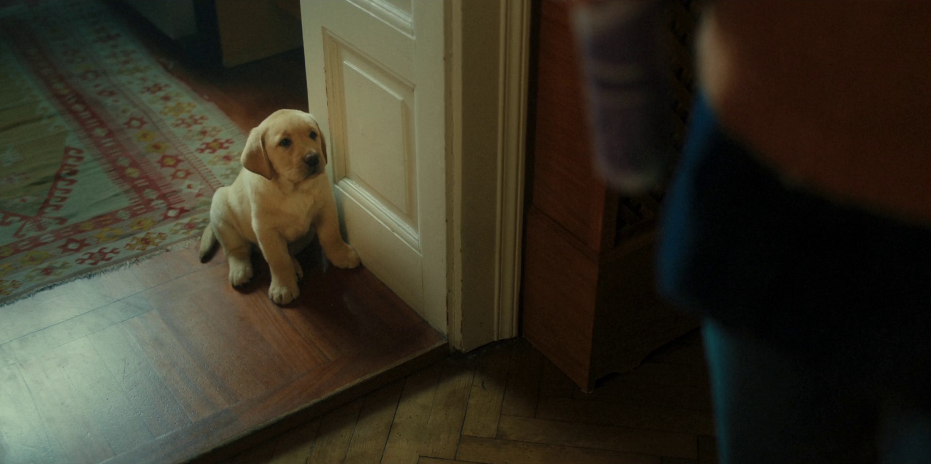 In-Laws | Andrex (2024) —  shot,  lighting