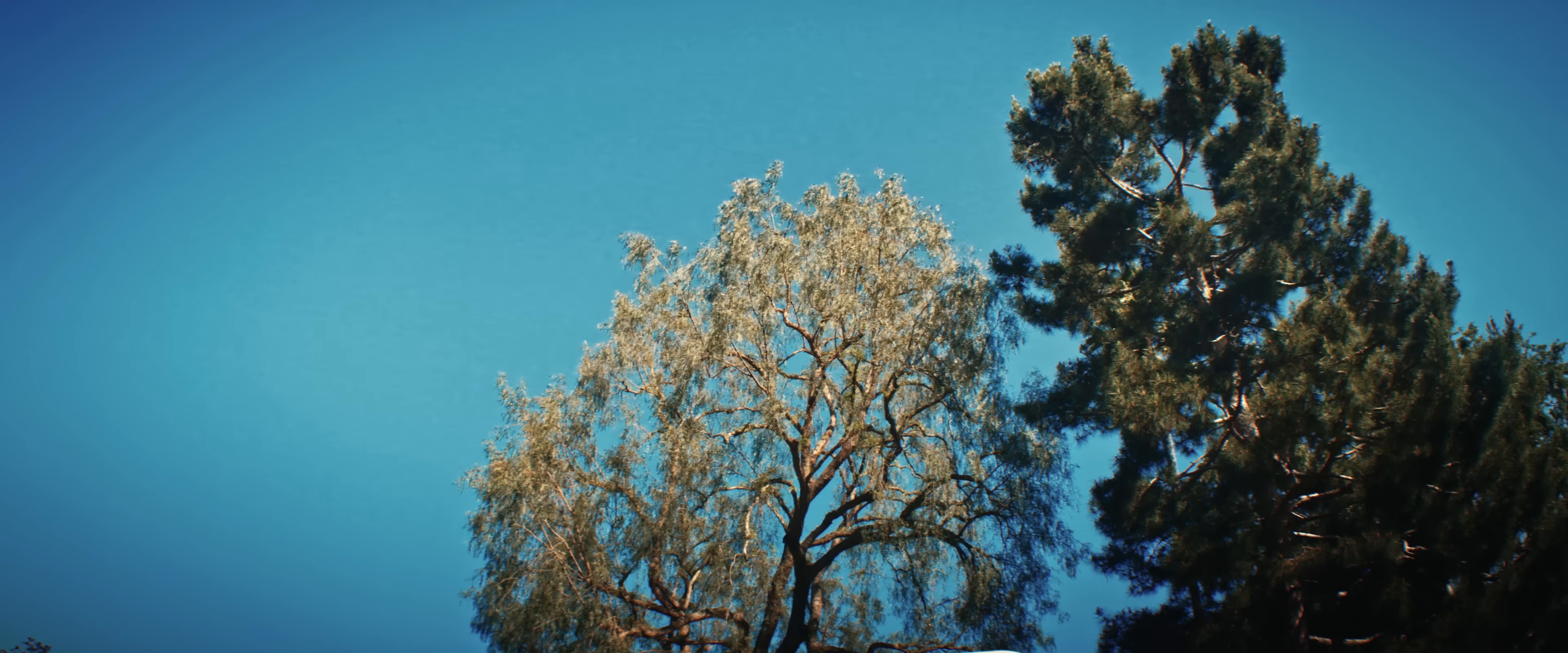 Rental (2024) —  shot,  lighting