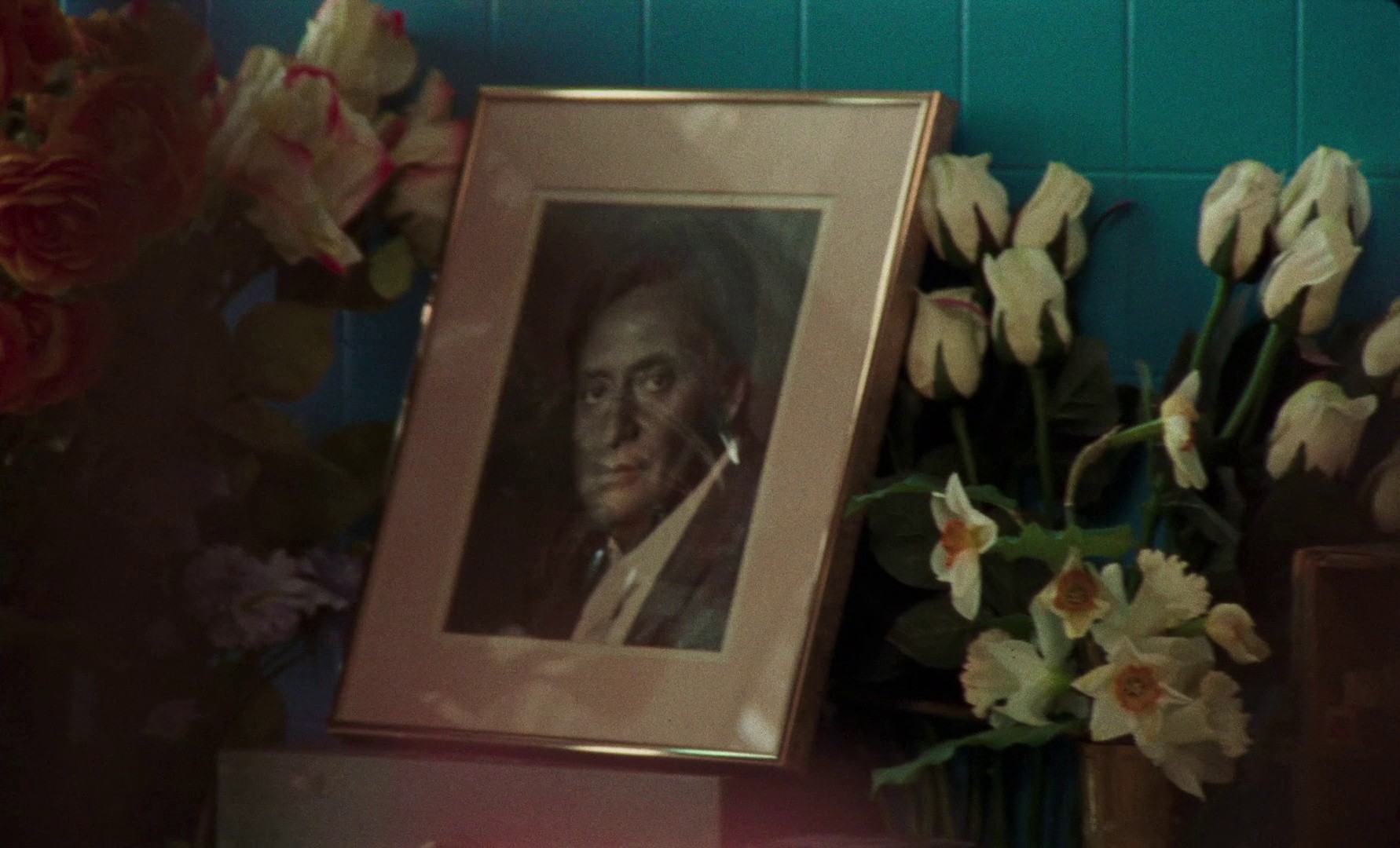 Universal Language (2024) —  shot,  lighting