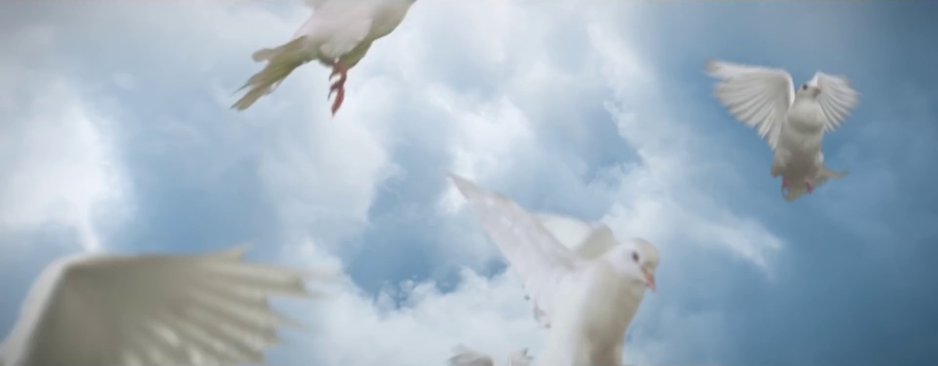 Kings & Queens (2020) —  shot,  lighting