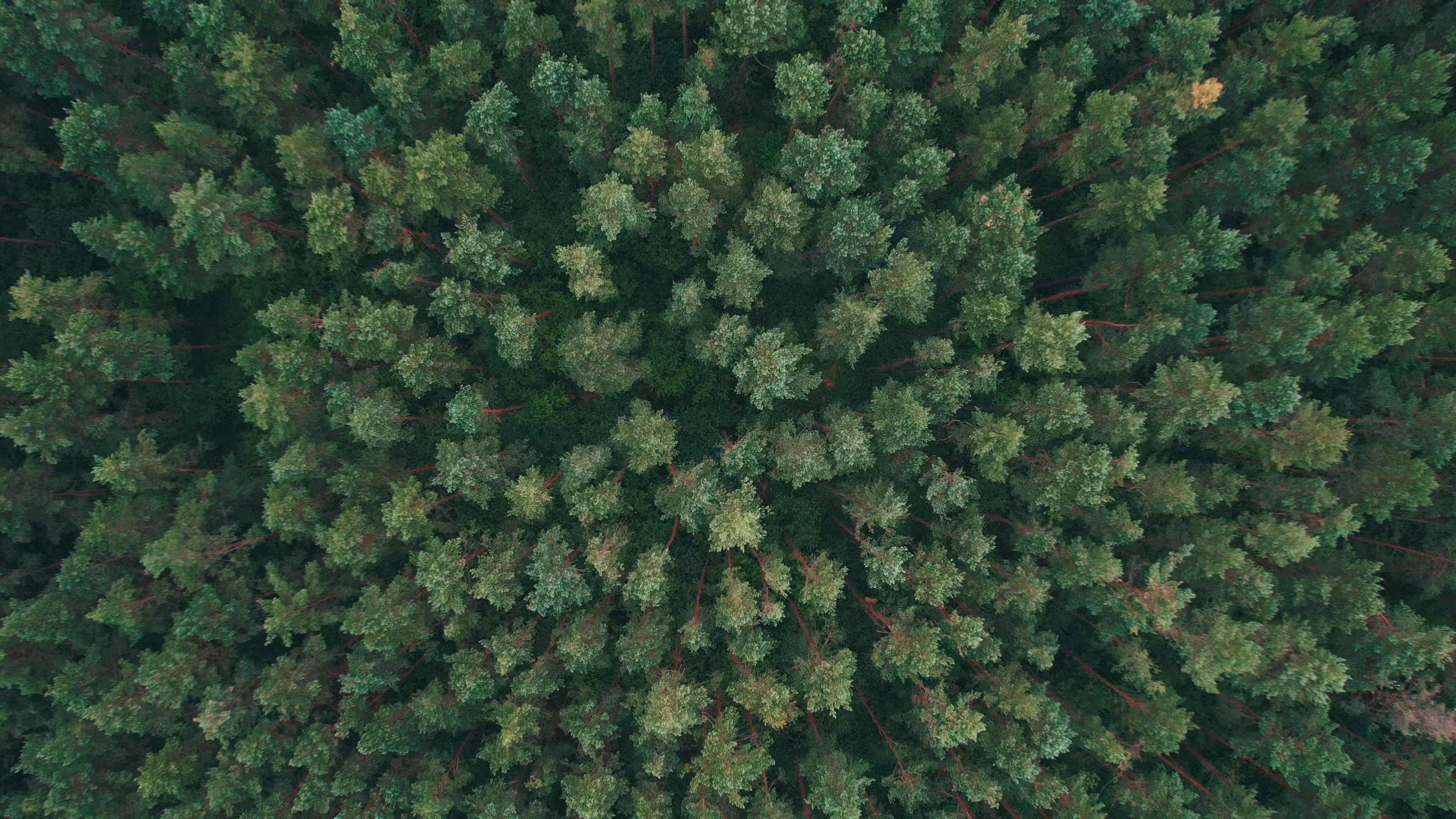 Dive (2023) —  shot,  lighting