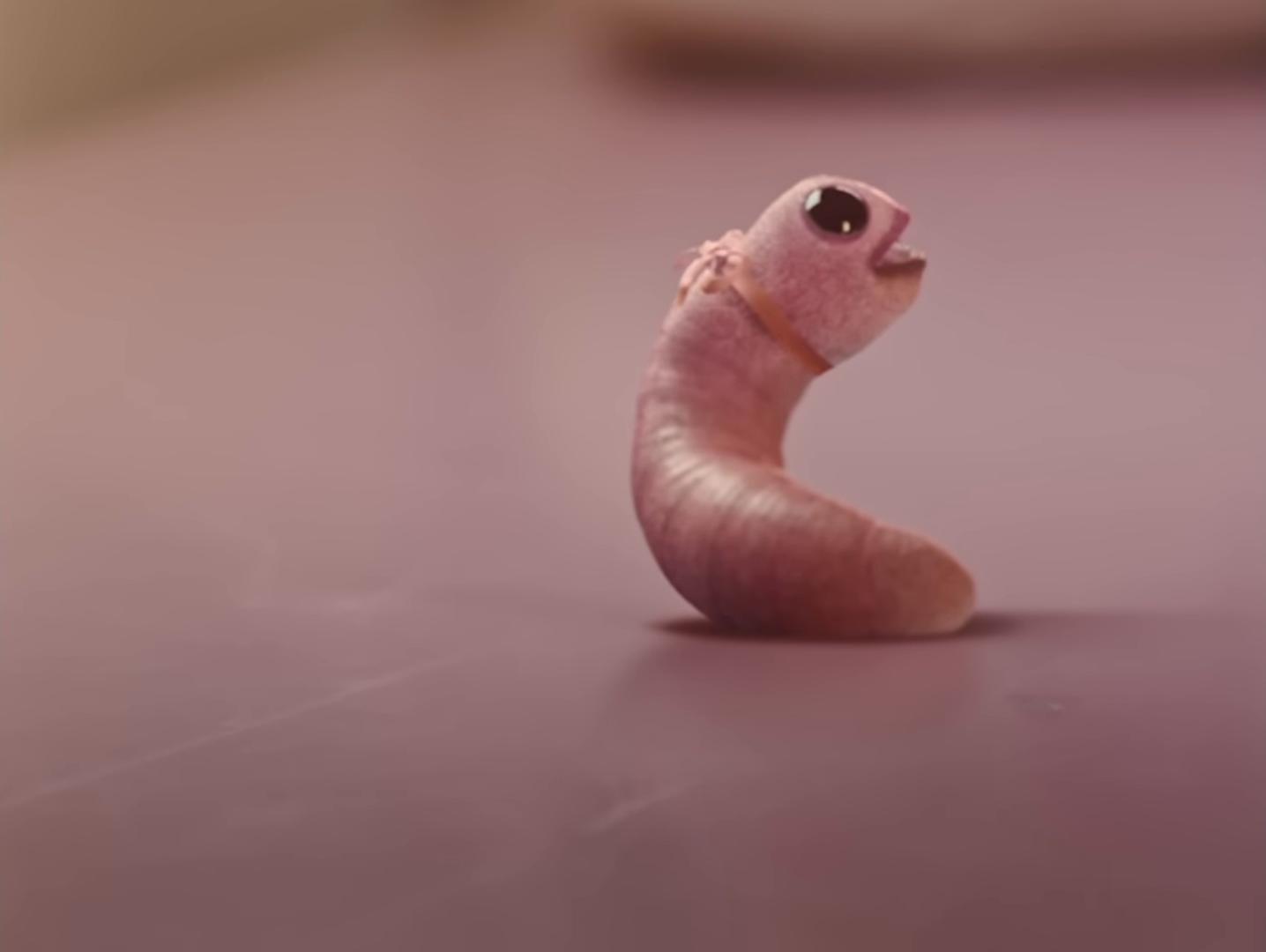 LEECHES (2025) —  shot,  lighting