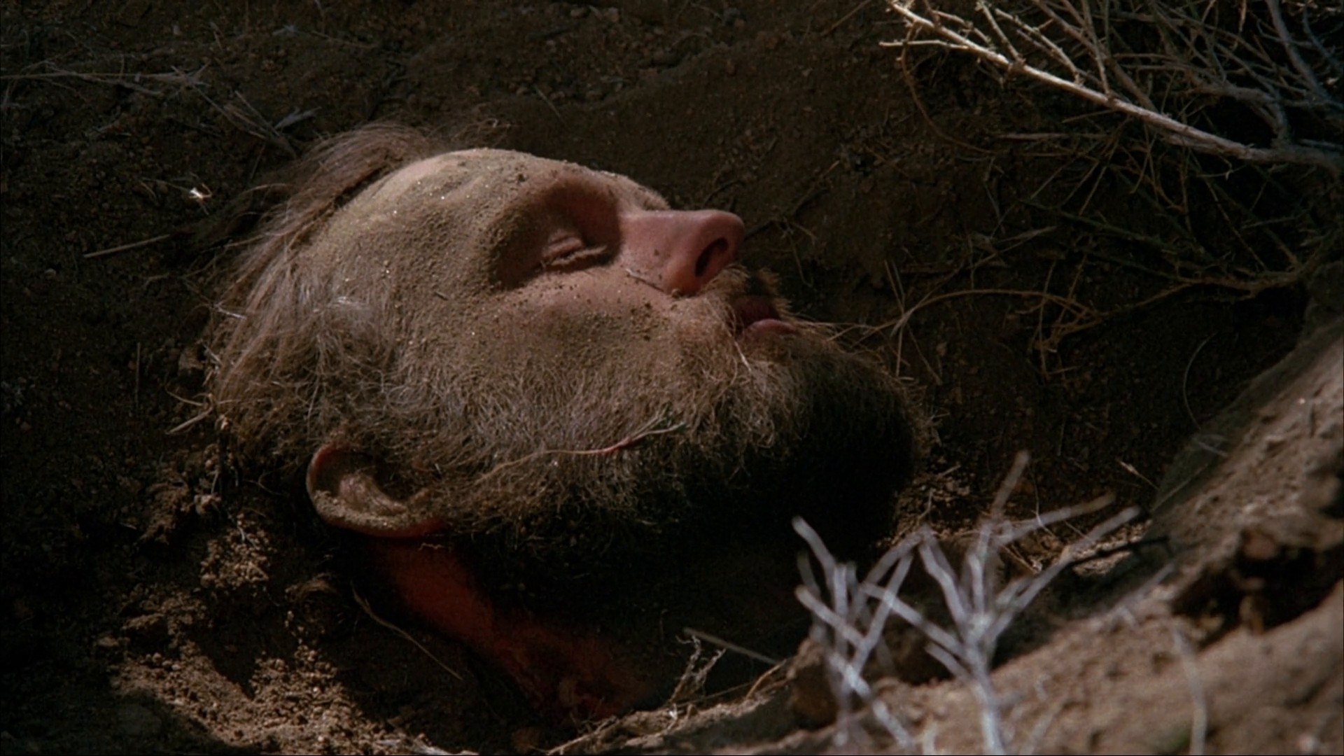 The Velvet Vampire (1980) —  shot,  lighting