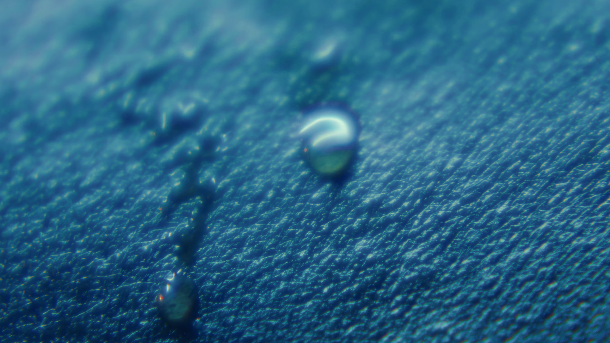 Firefly (2022) —  shot,  lighting