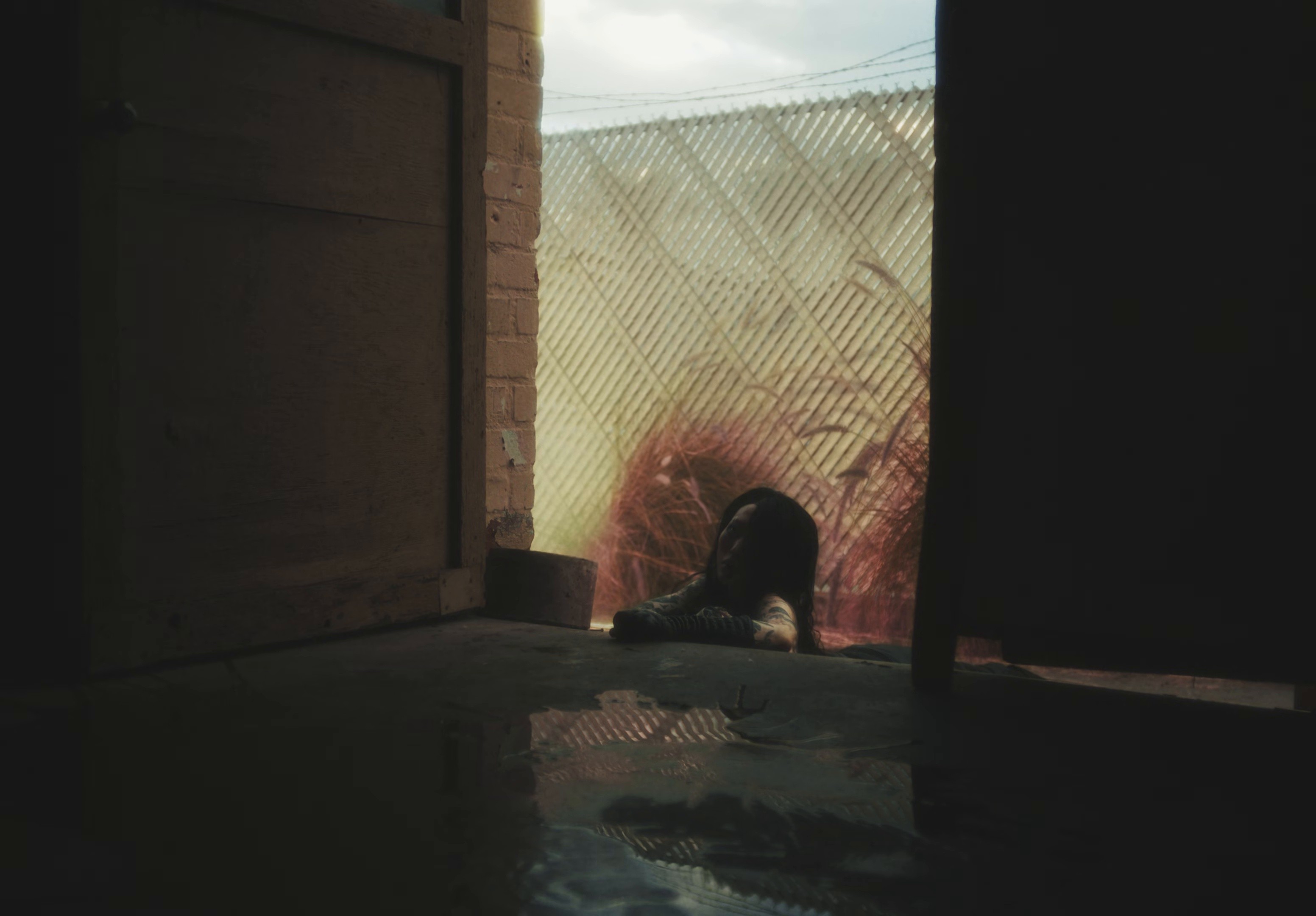 VV (2025) —  shot,  lighting