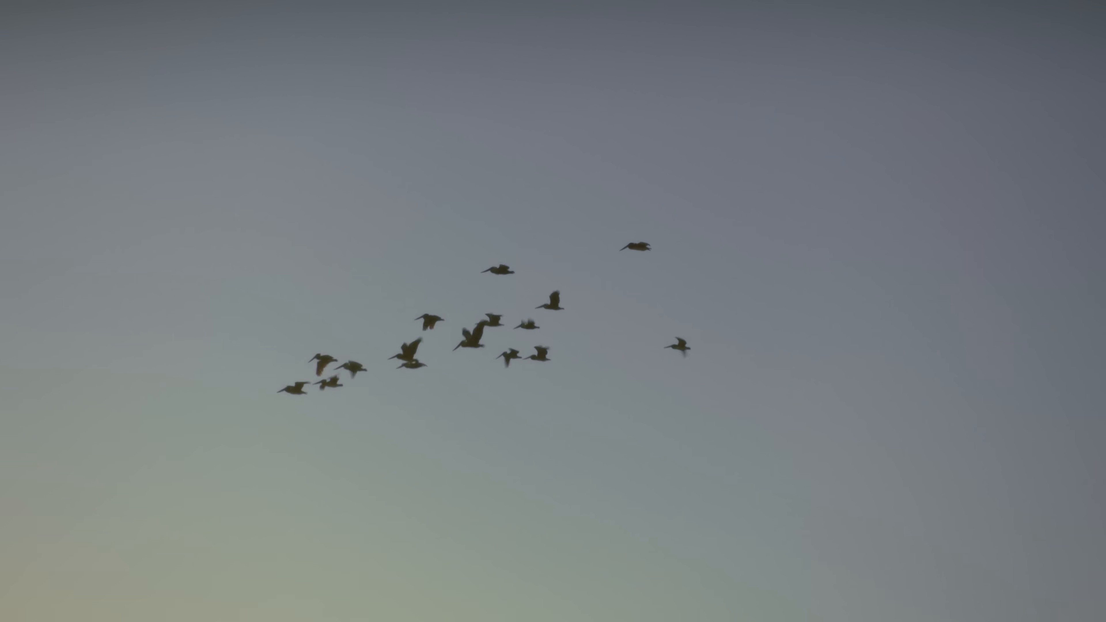 blue (2024) —  shot,  lighting