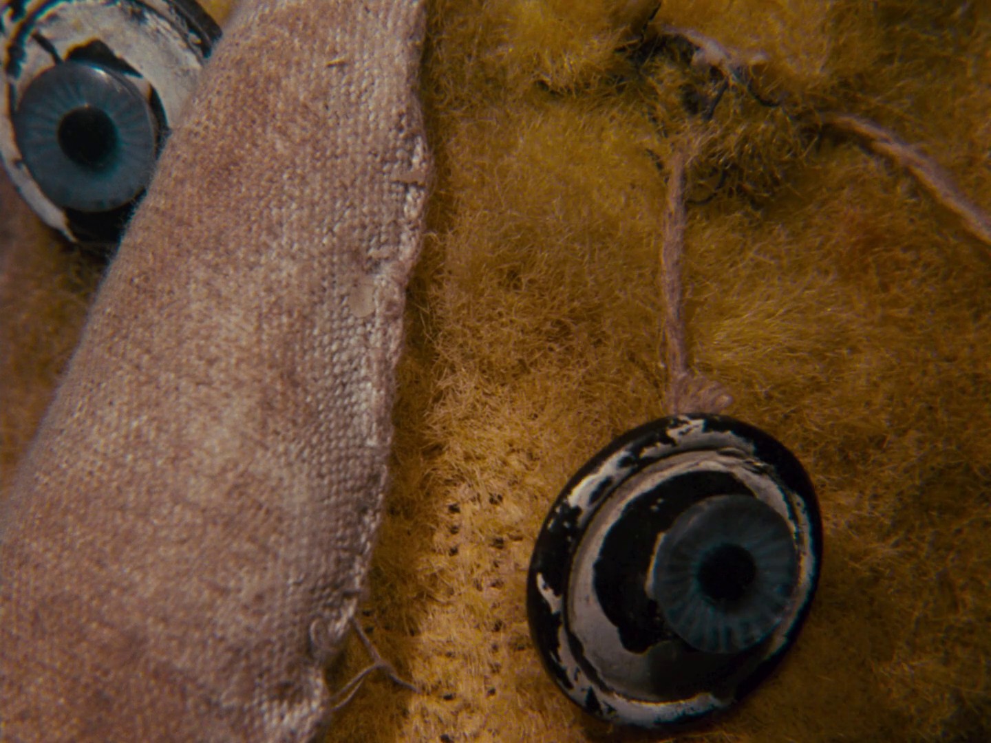 Alice (1988) —  shot,  lighting