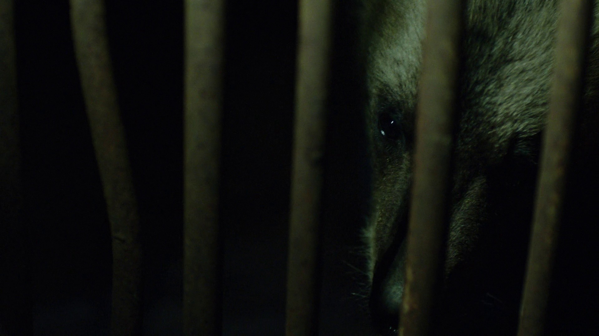 Ainu Mosir (2020) —  shot,  lighting