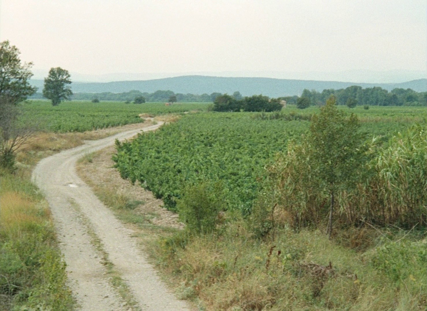 My Little Loves (1974) —  shot,  lighting