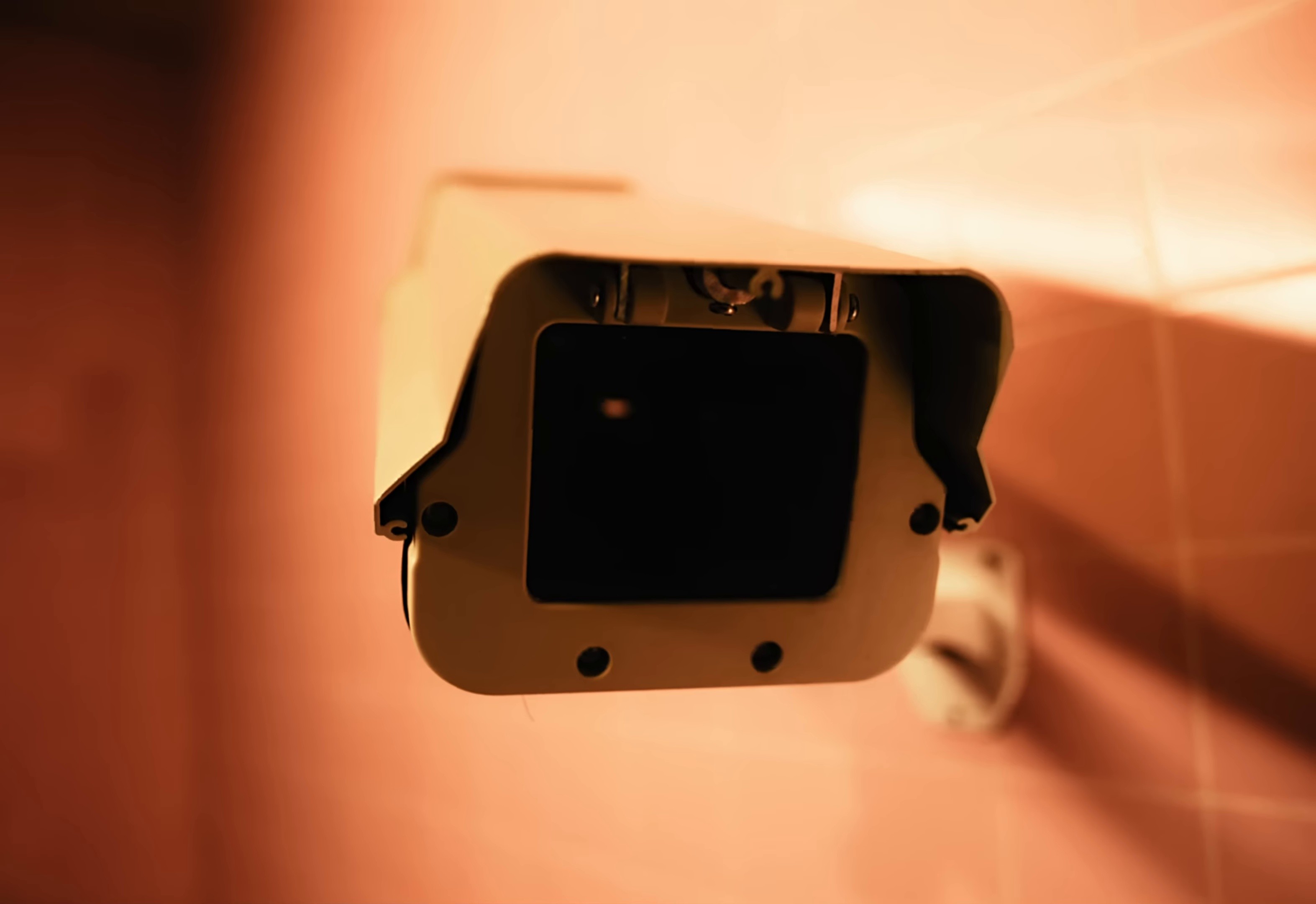 Body Language (2025) —  shot,  lighting