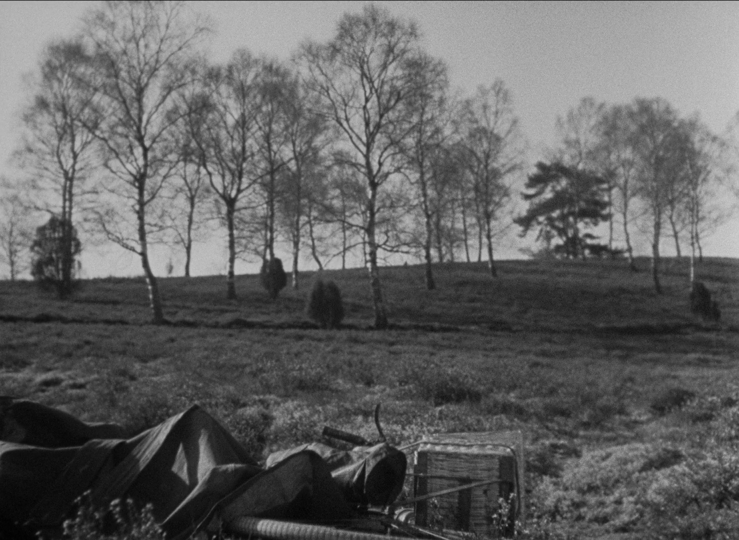 The Rules of the Game (1972) —  shot,  lighting