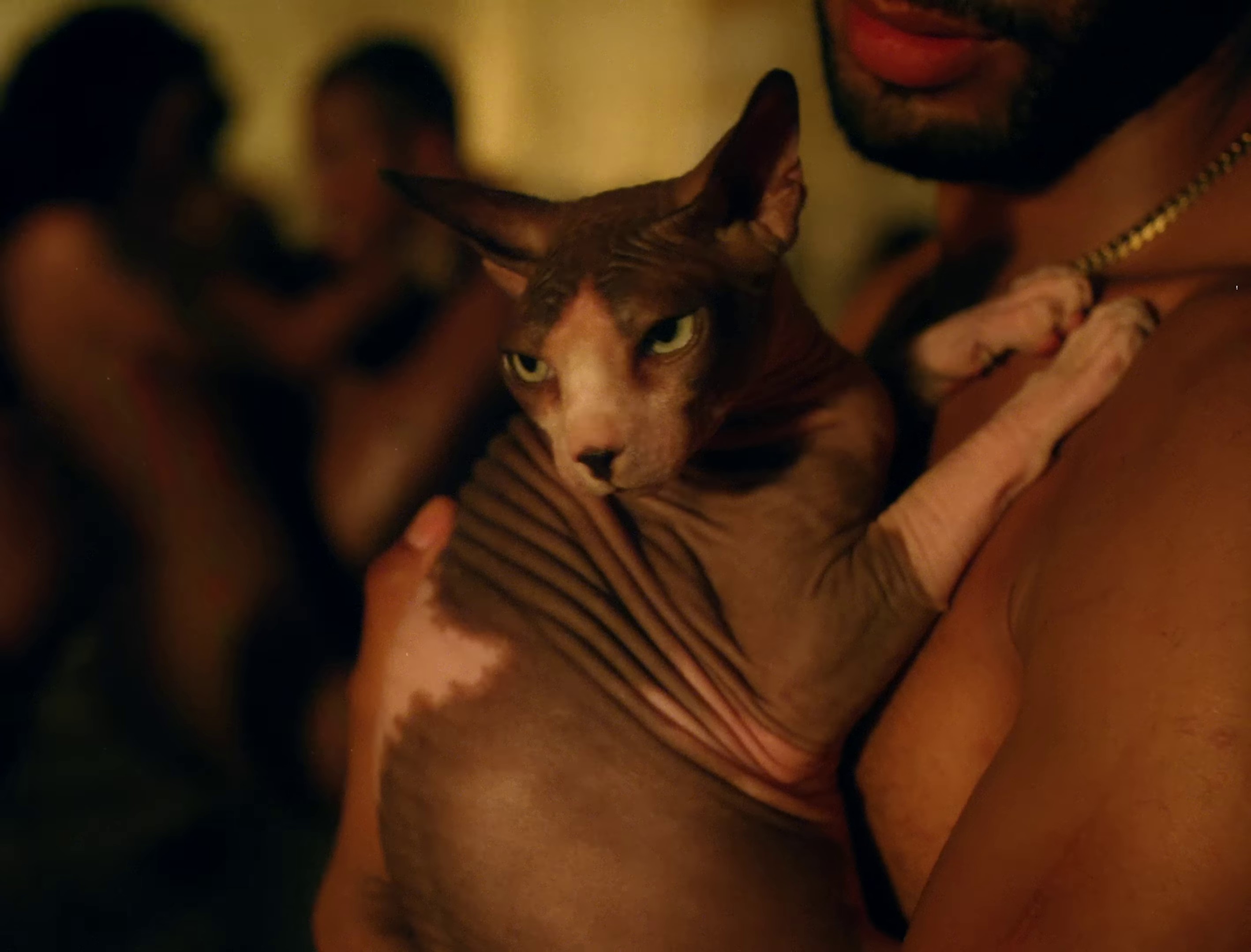 GATÚBELA (2022) —  shot,  lighting