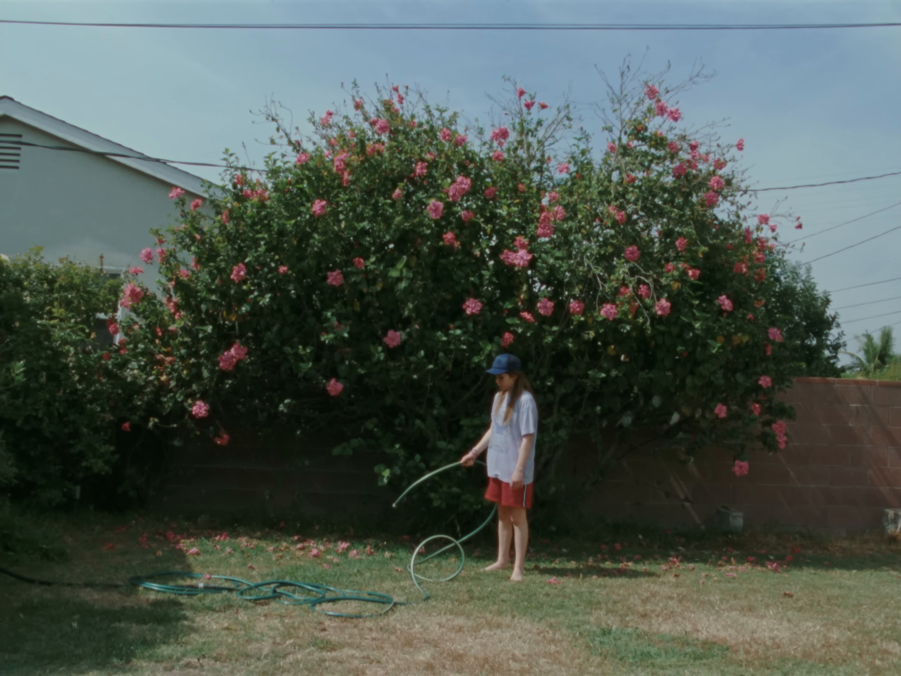 Lucky (2024) —  shot,  lighting