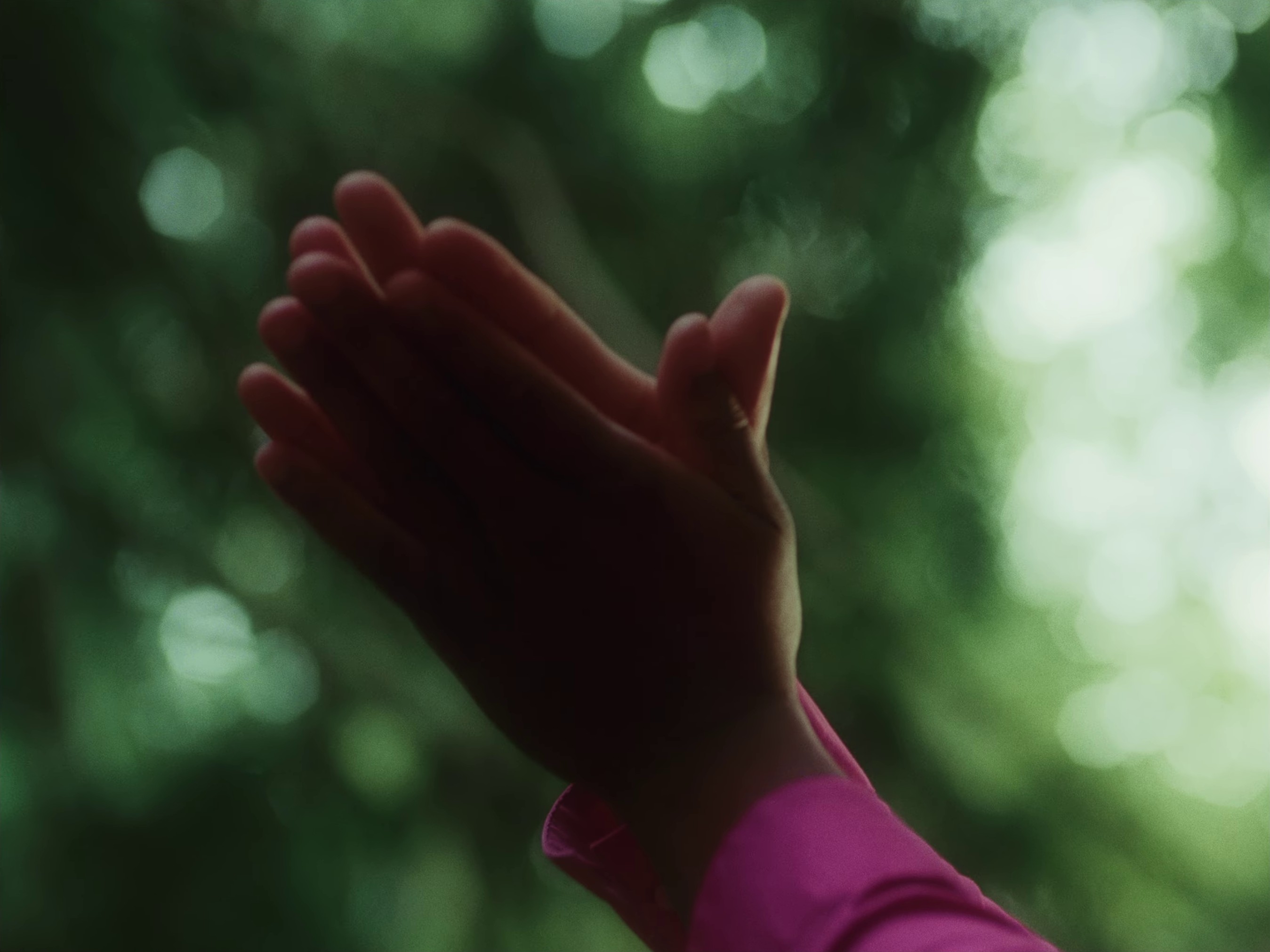 AA BOUQUET FOR YOUR 180 FACE (2024) —  shot,  lighting