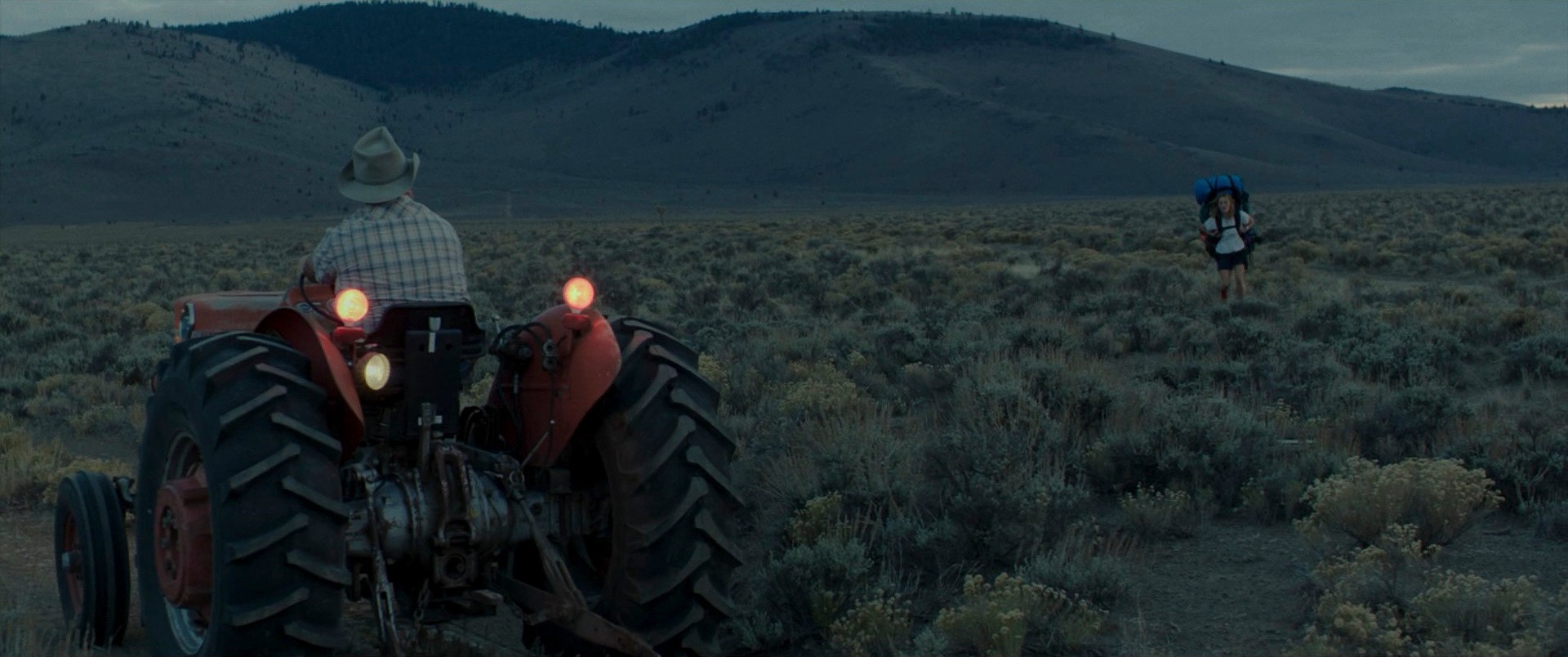 Wild (2014) —  shot,  lighting