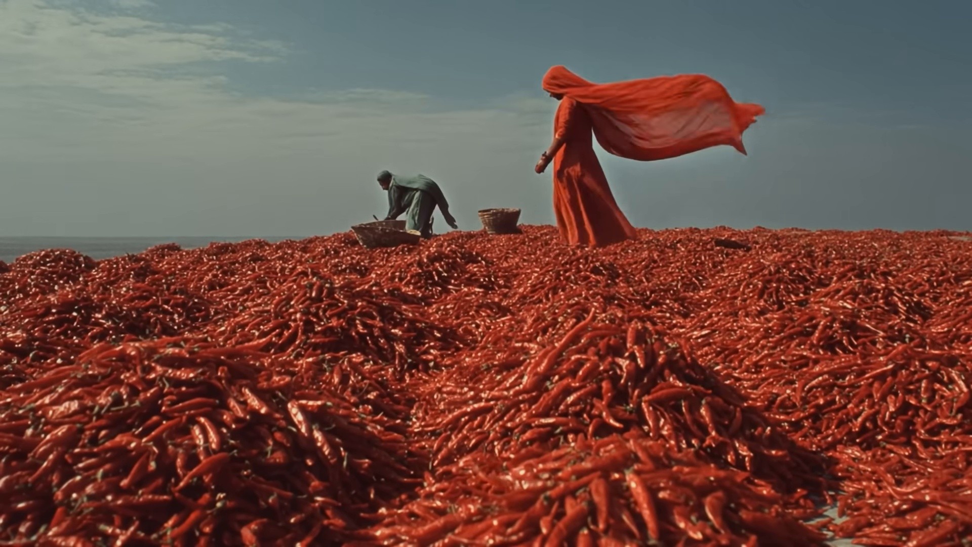 SAKHI (2025) —  shot,  lighting