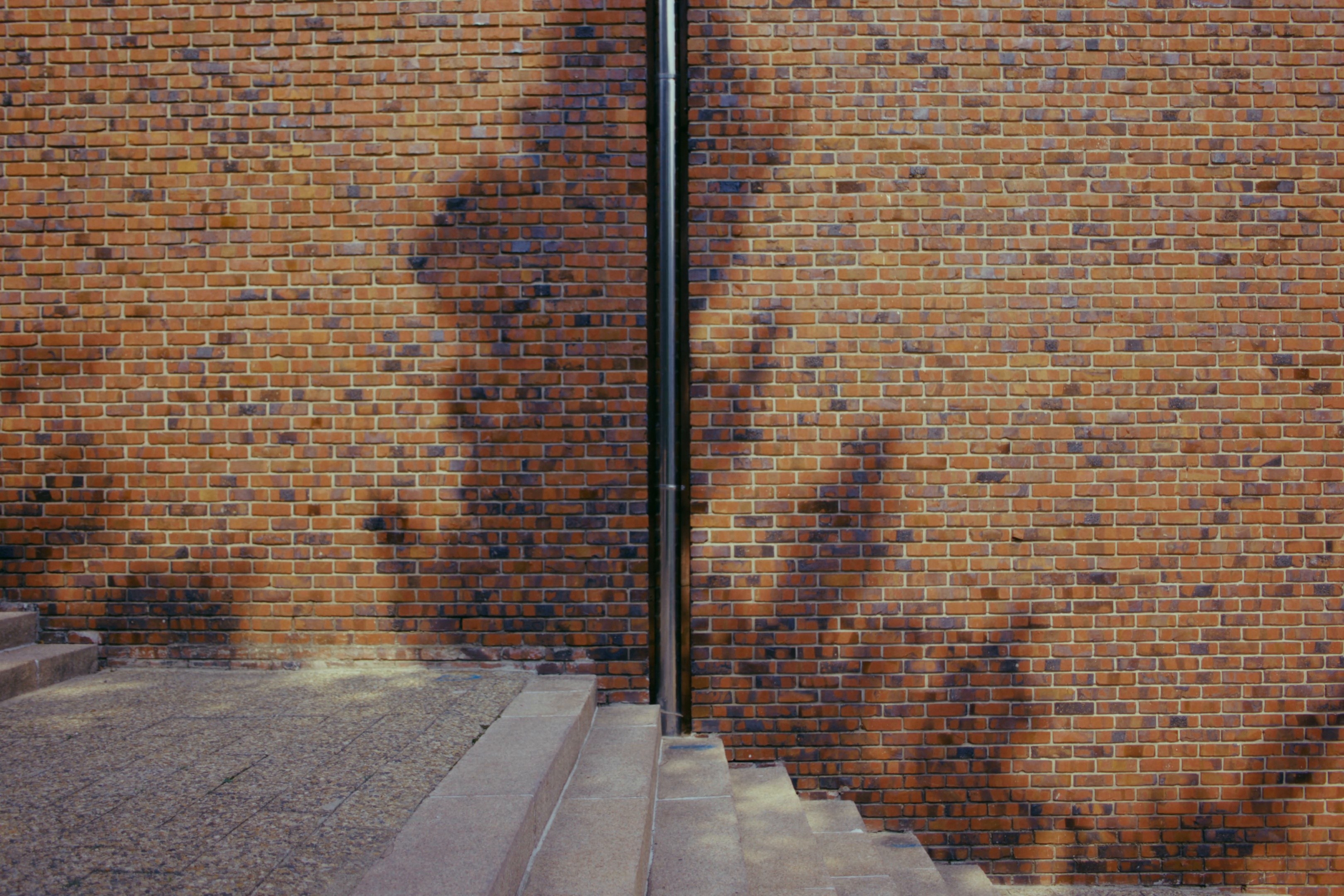 STORY FILM (2025) —  shot,  lighting