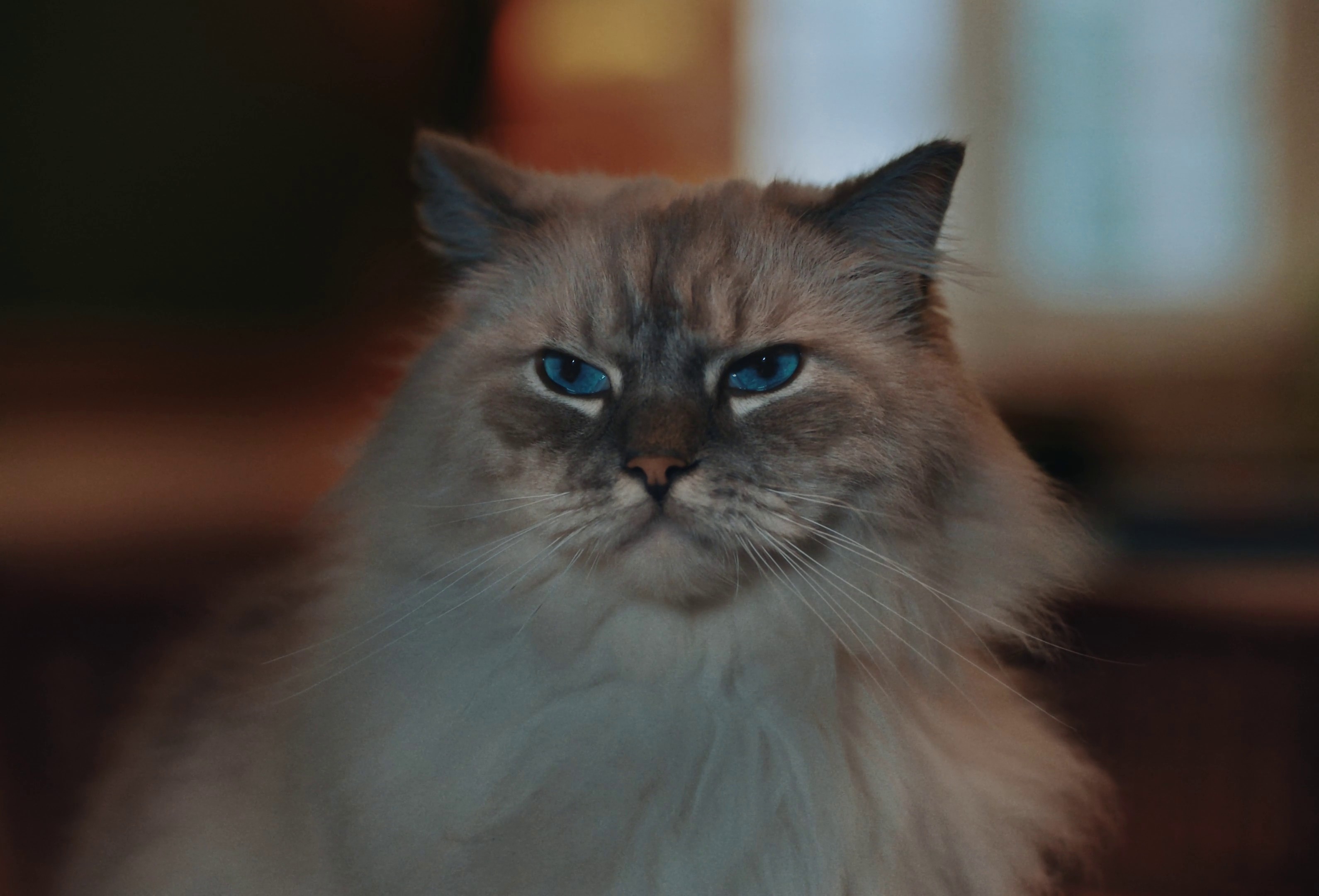 Uber - Lost Keys (2023) —  shot,  lighting