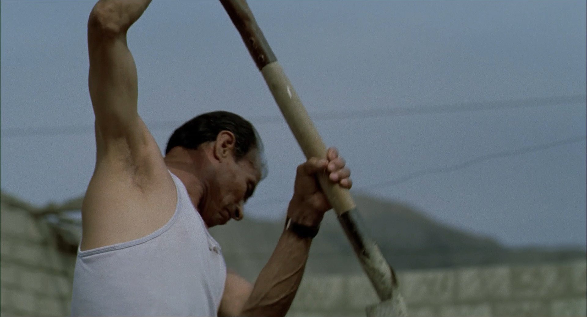 The Milk of Sorrow (2009) —  shot,  lighting