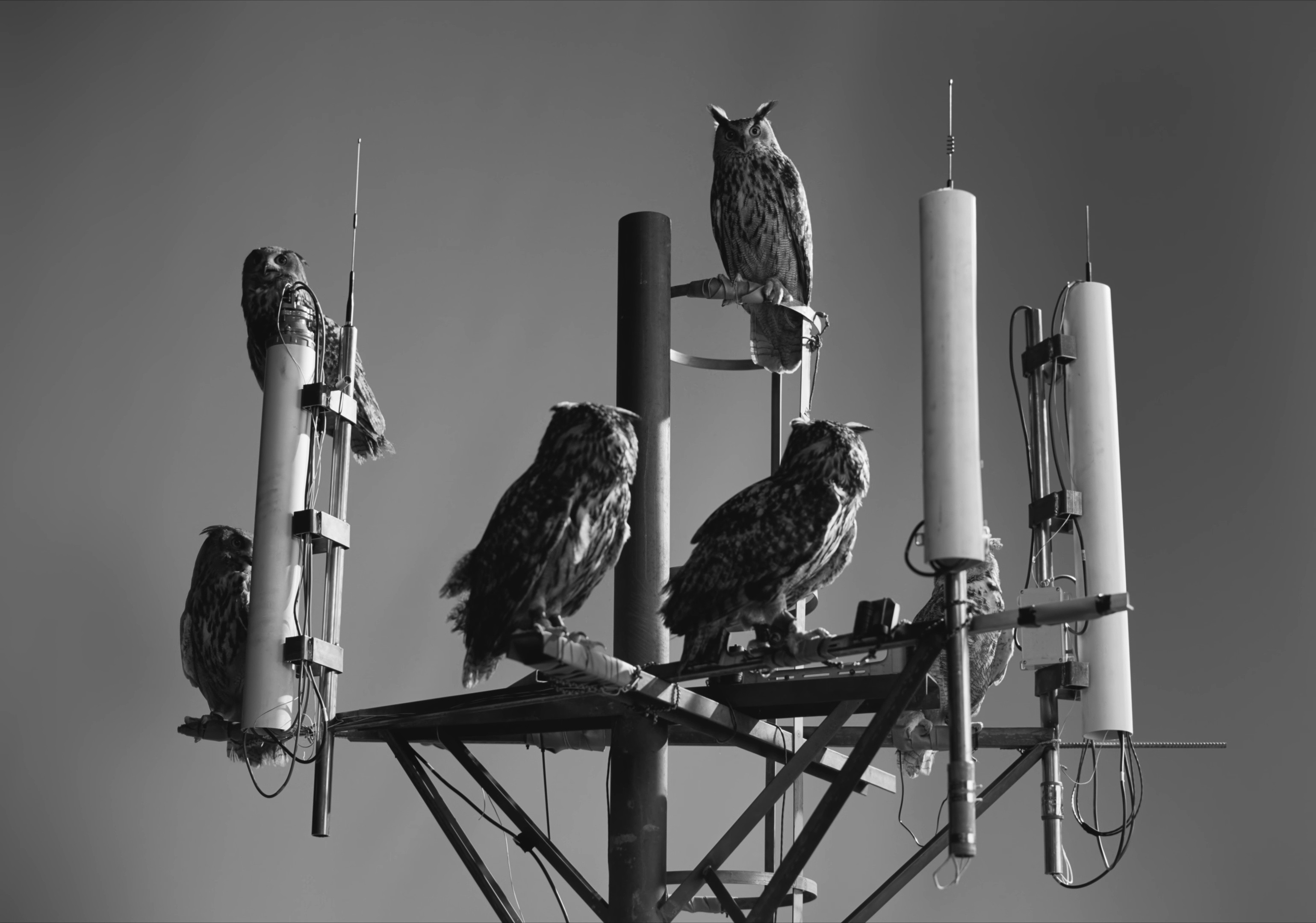 NOKIA (2025) —  shot,  lighting