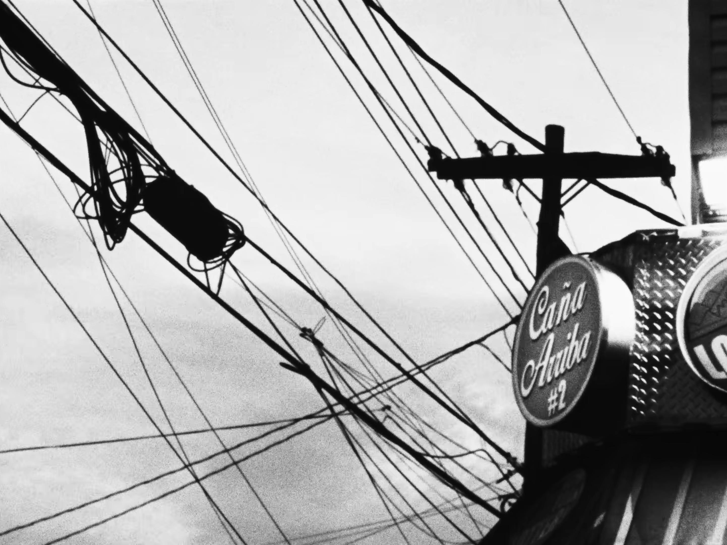 F.I.C.O. (2025) —  shot,  lighting