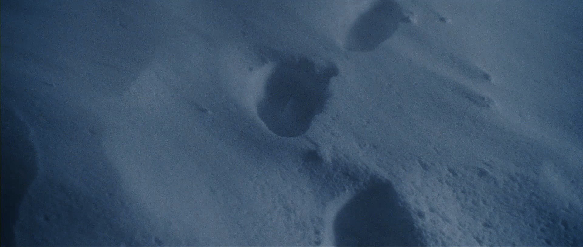 The Way Back (2010) —  shot,  lighting