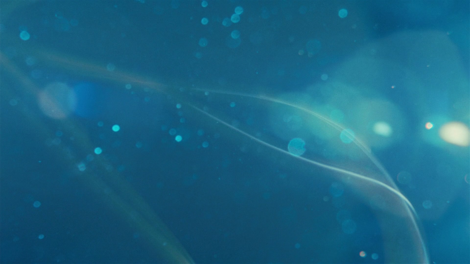 Oppenheimer (2023) —  shot,  lighting