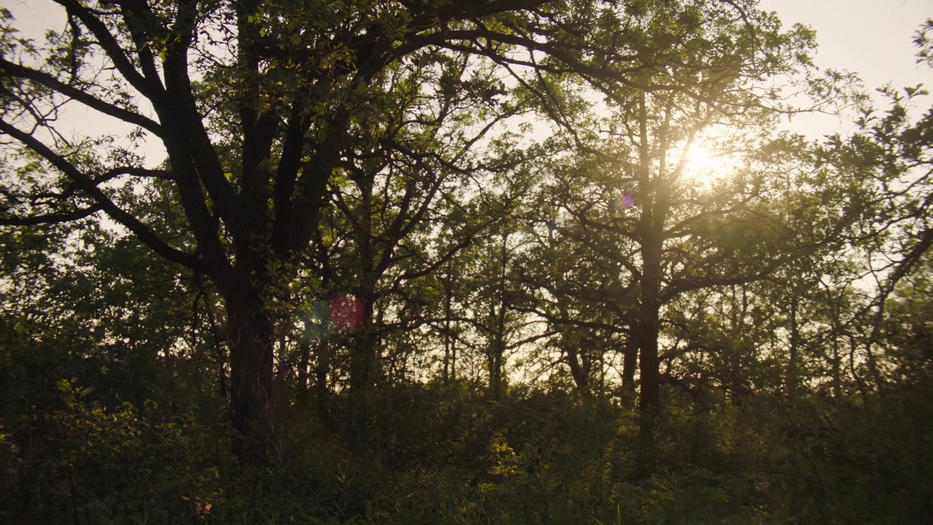 Sacrifice Zone (2018) —  shot,  lighting