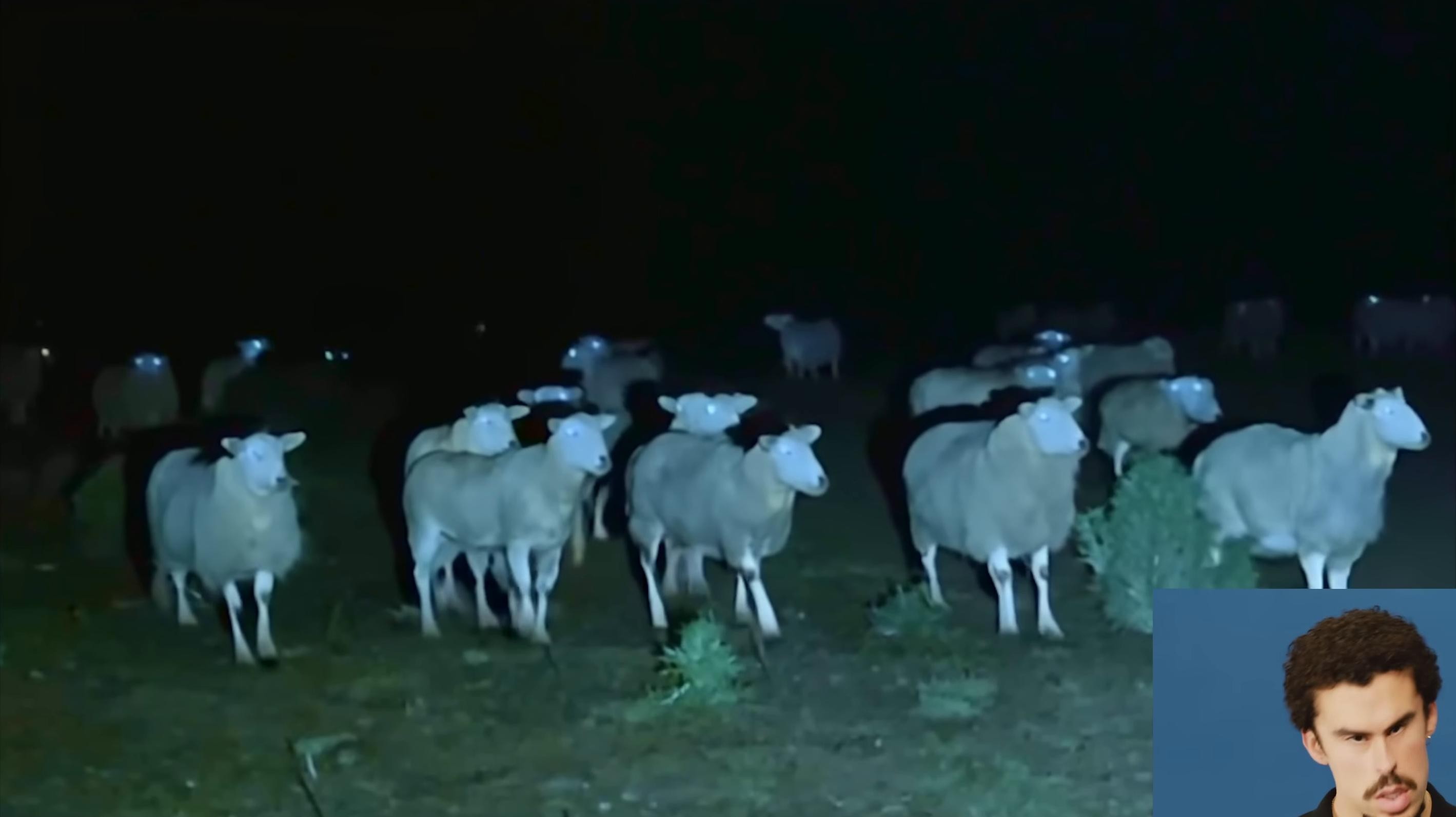 EL CLúB (2024) —  shot,  lighting