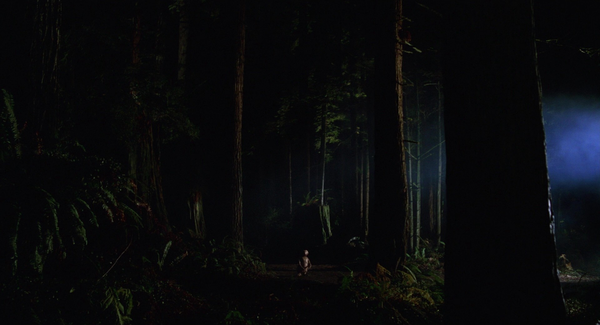 E.T. the Extra-Terrestrial (1982) —  shot,  lighting