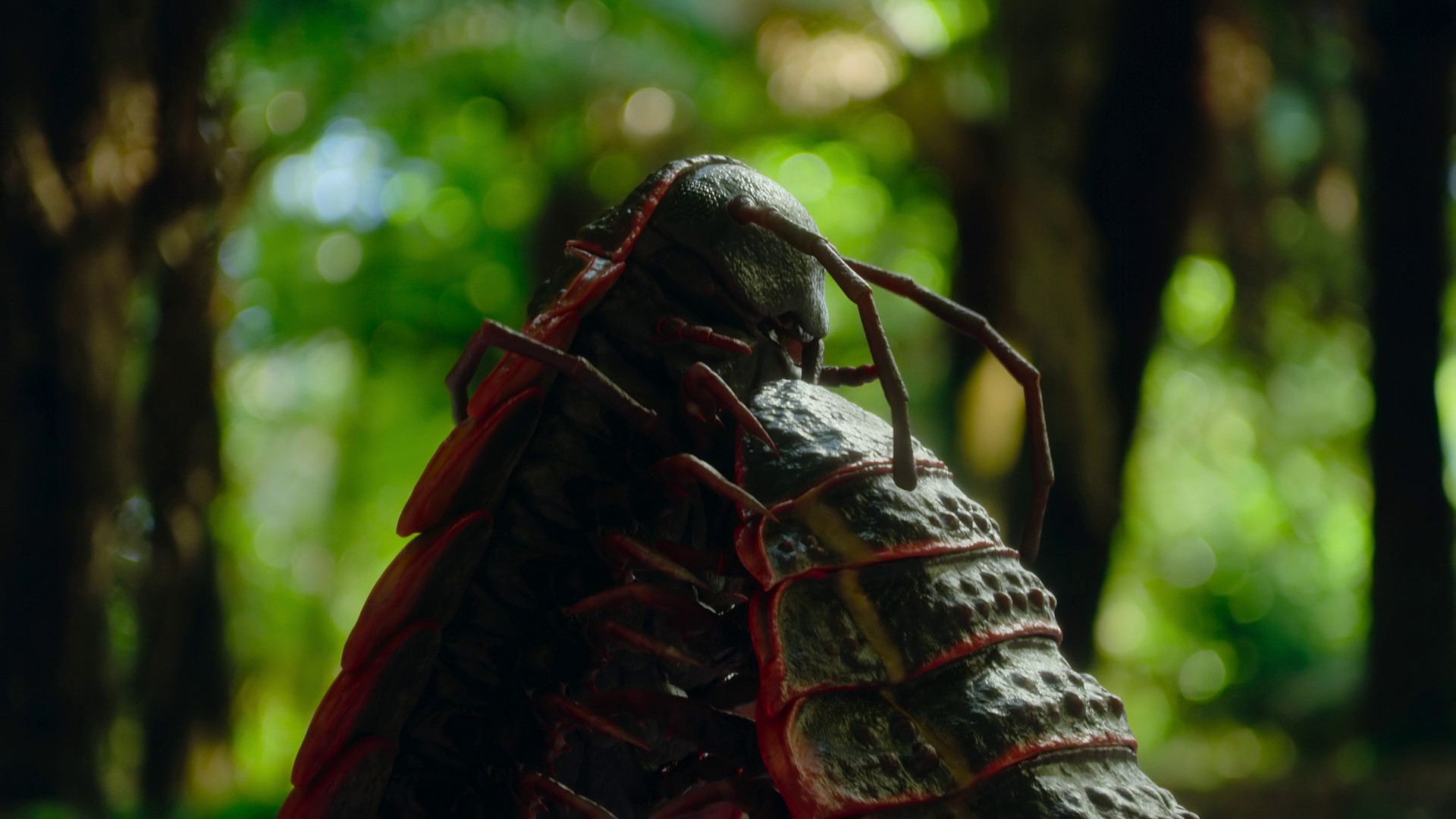 Invaders of the Land (2023) —  shot,  lighting