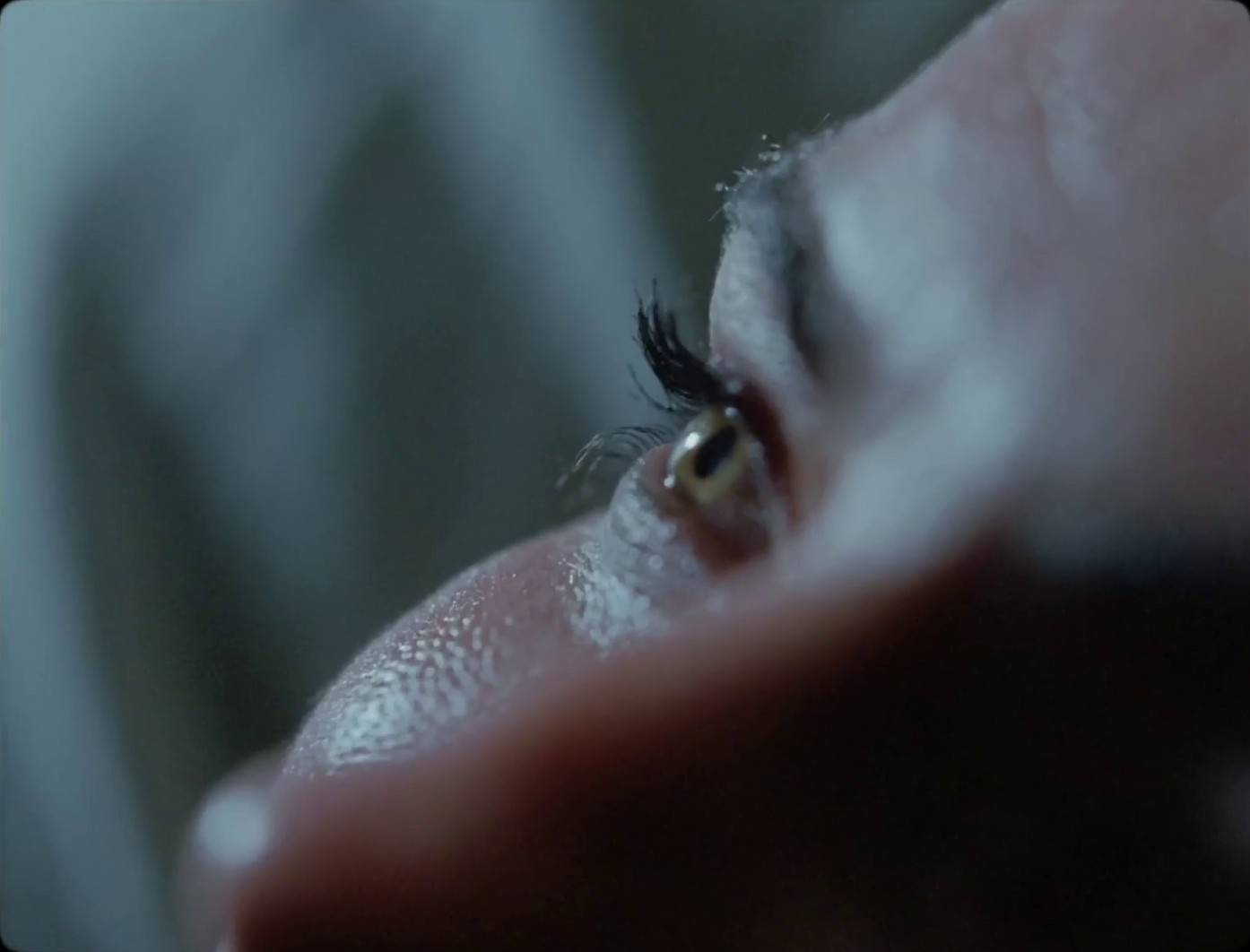 LPCS - Love (2022) —  shot,  lighting