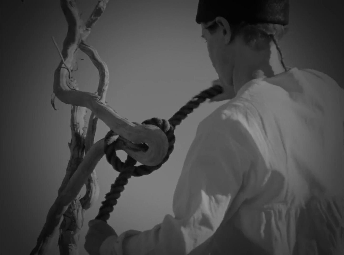 Grateful Grapefruit (2025) —  shot,  lighting