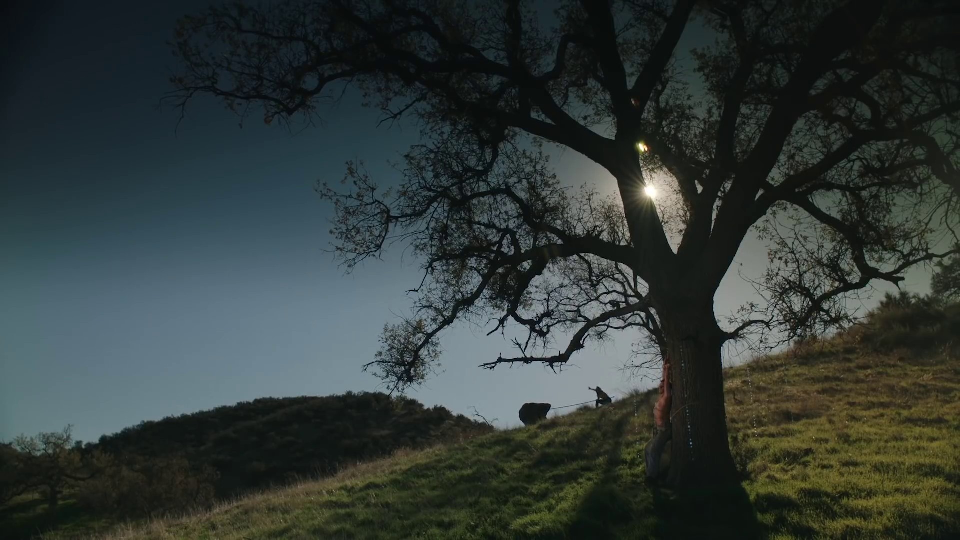 Describe (2020) —  shot,  lighting