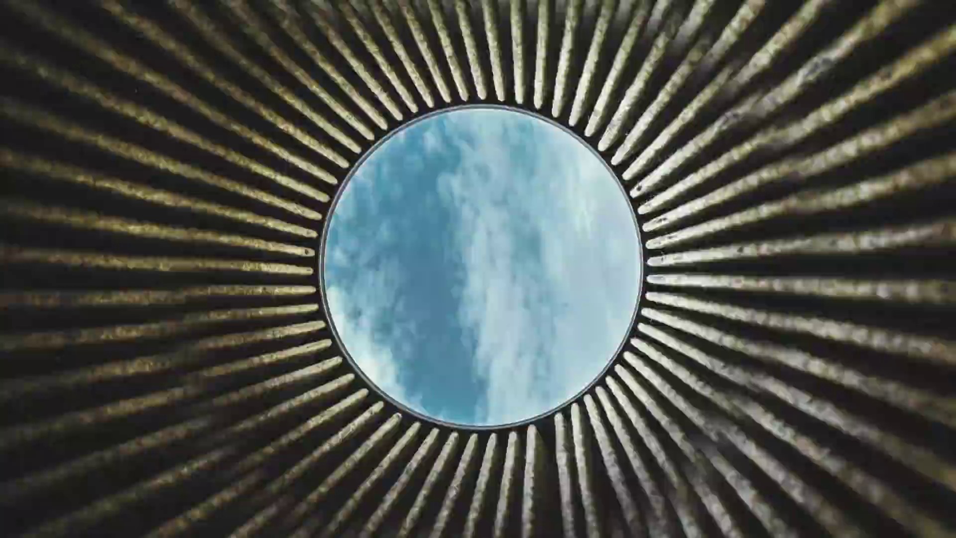 The Prey  (2021) —  shot,  lighting