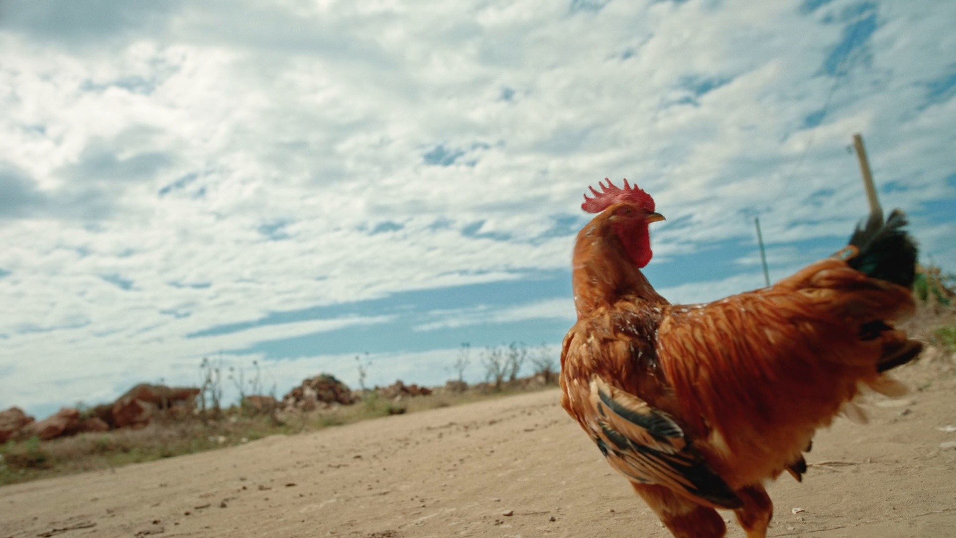 SKETCHOSI9A 2 (2024) —  shot,  lighting