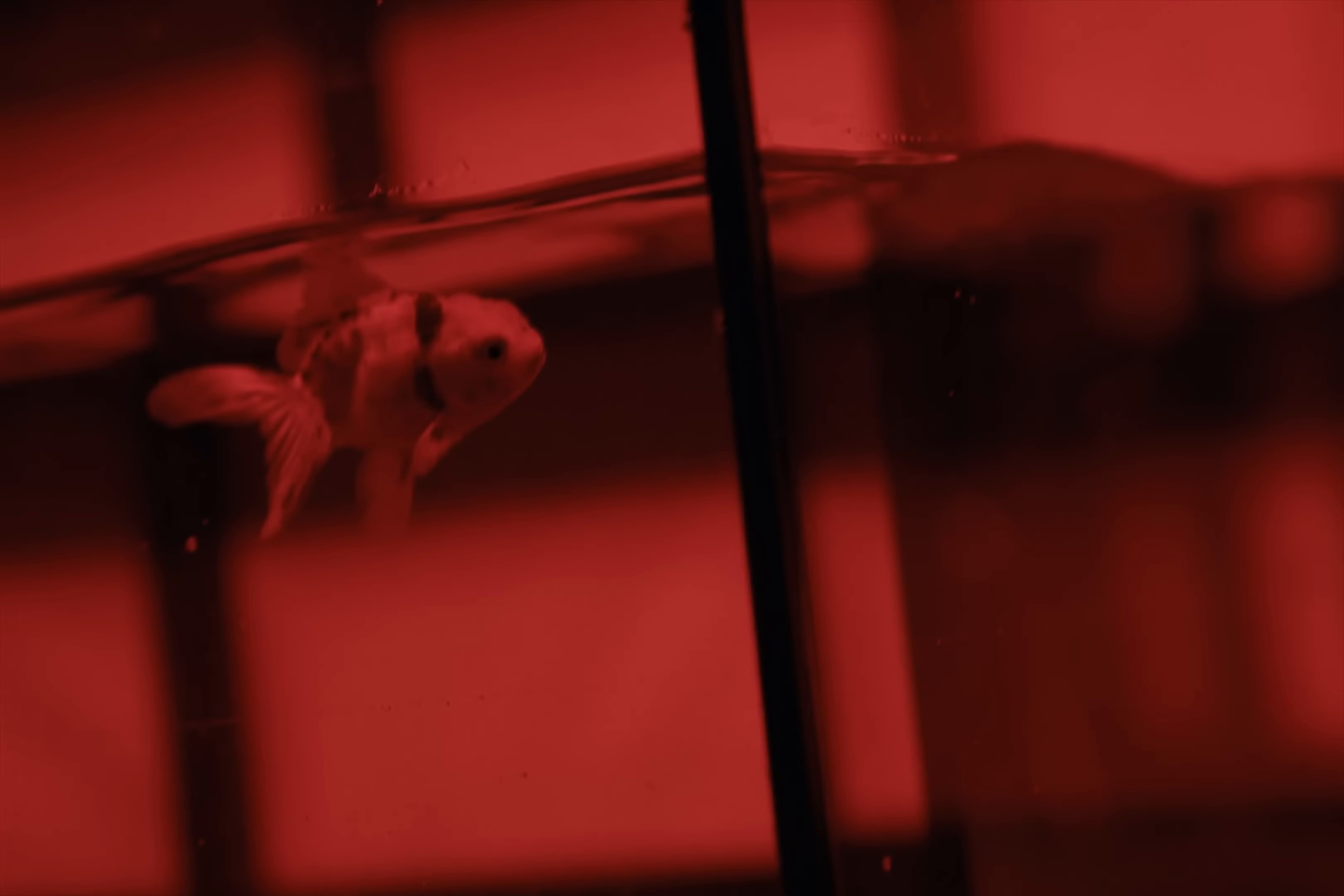 HyperNova (2024) —  shot,  lighting