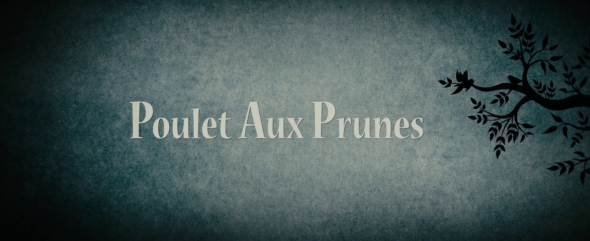 Chicken with Plums (2011) —  shot,  lighting