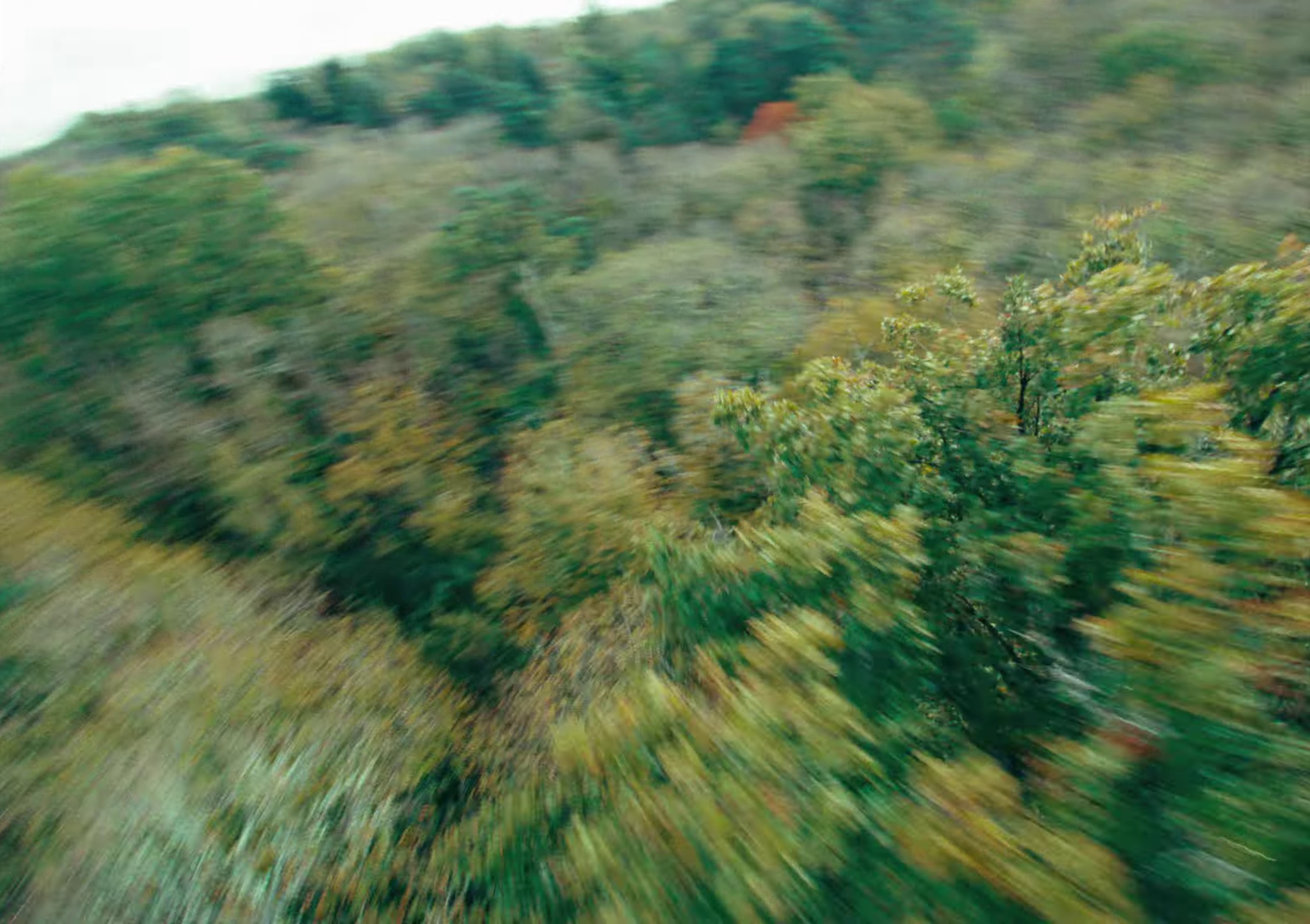 DIS-MOI (2023) —  shot,  lighting