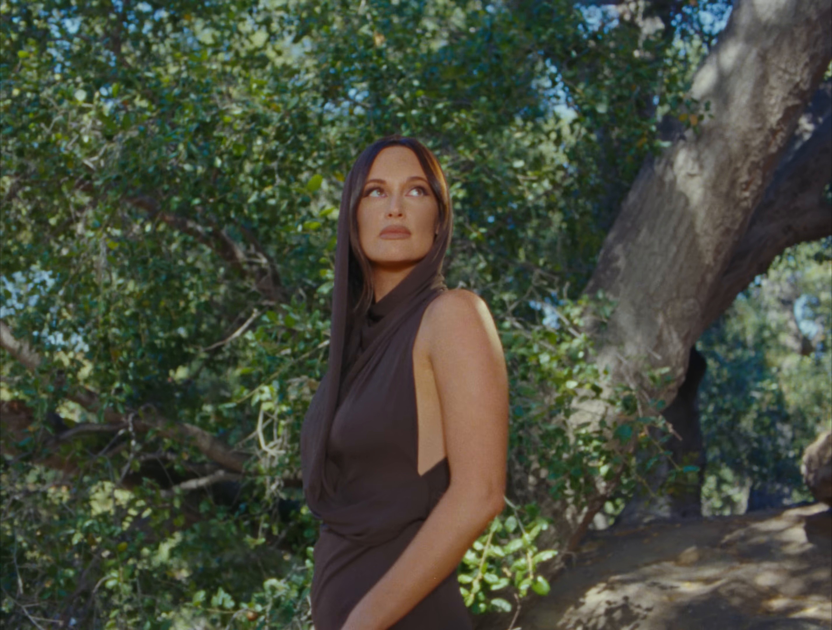 The Architect (2024) —  shot,  lighting