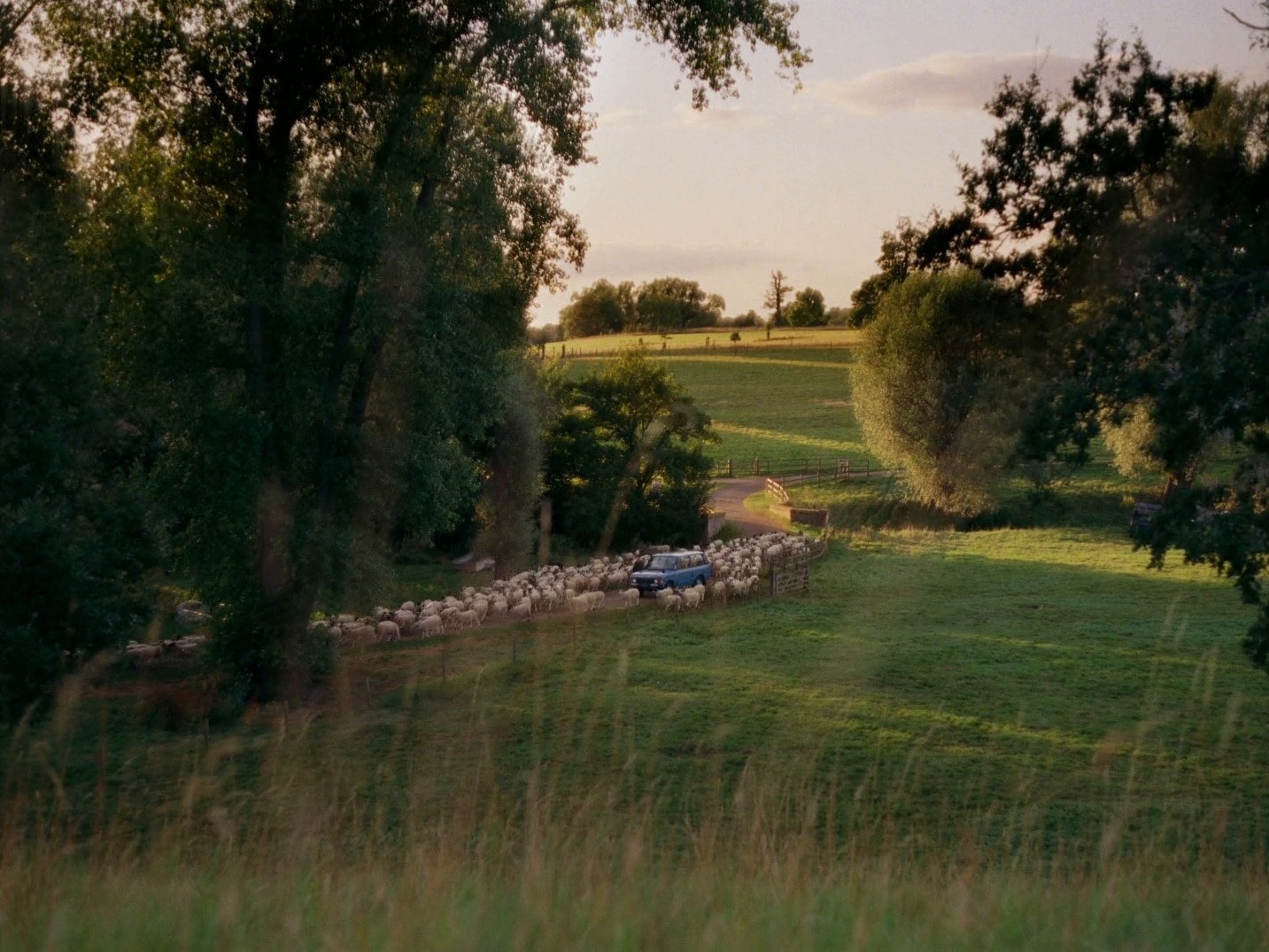 Burberry: "Counting Sheep" (dir. rubberband.) (2024) —  shot,  lighting