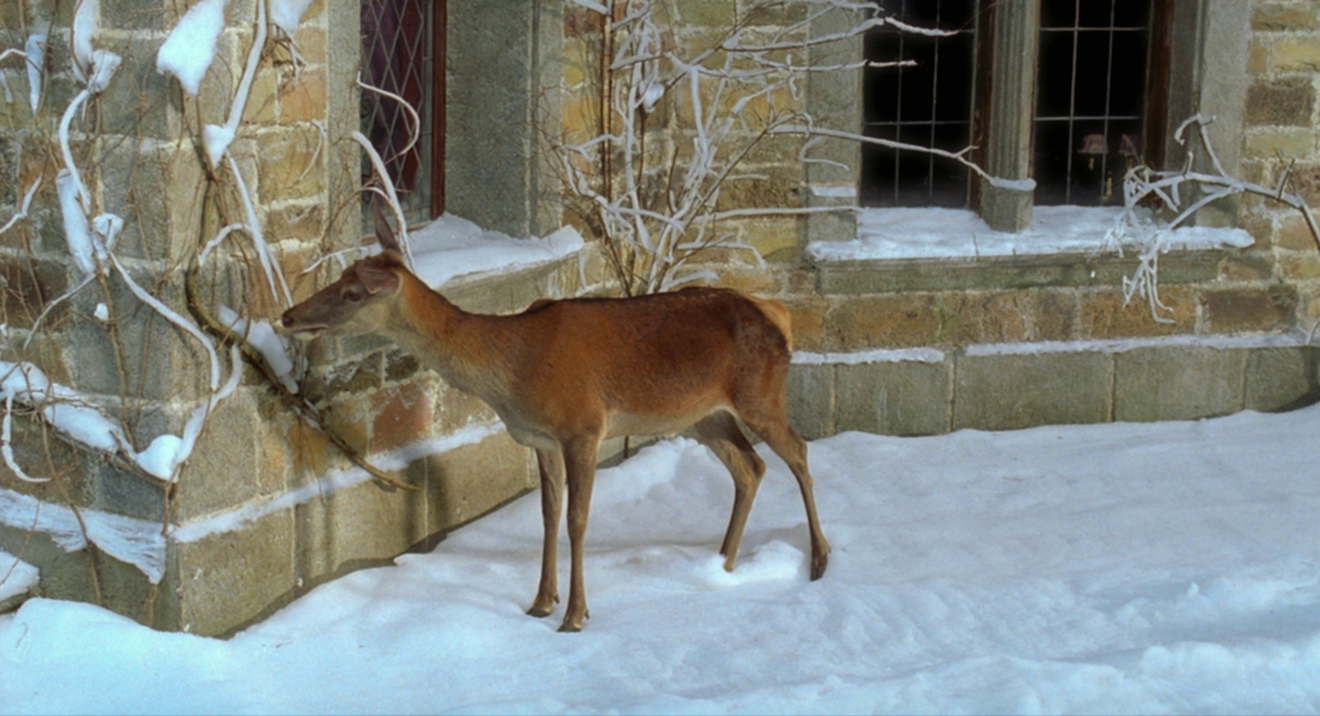 8 Women (2002) —  shot,  lighting