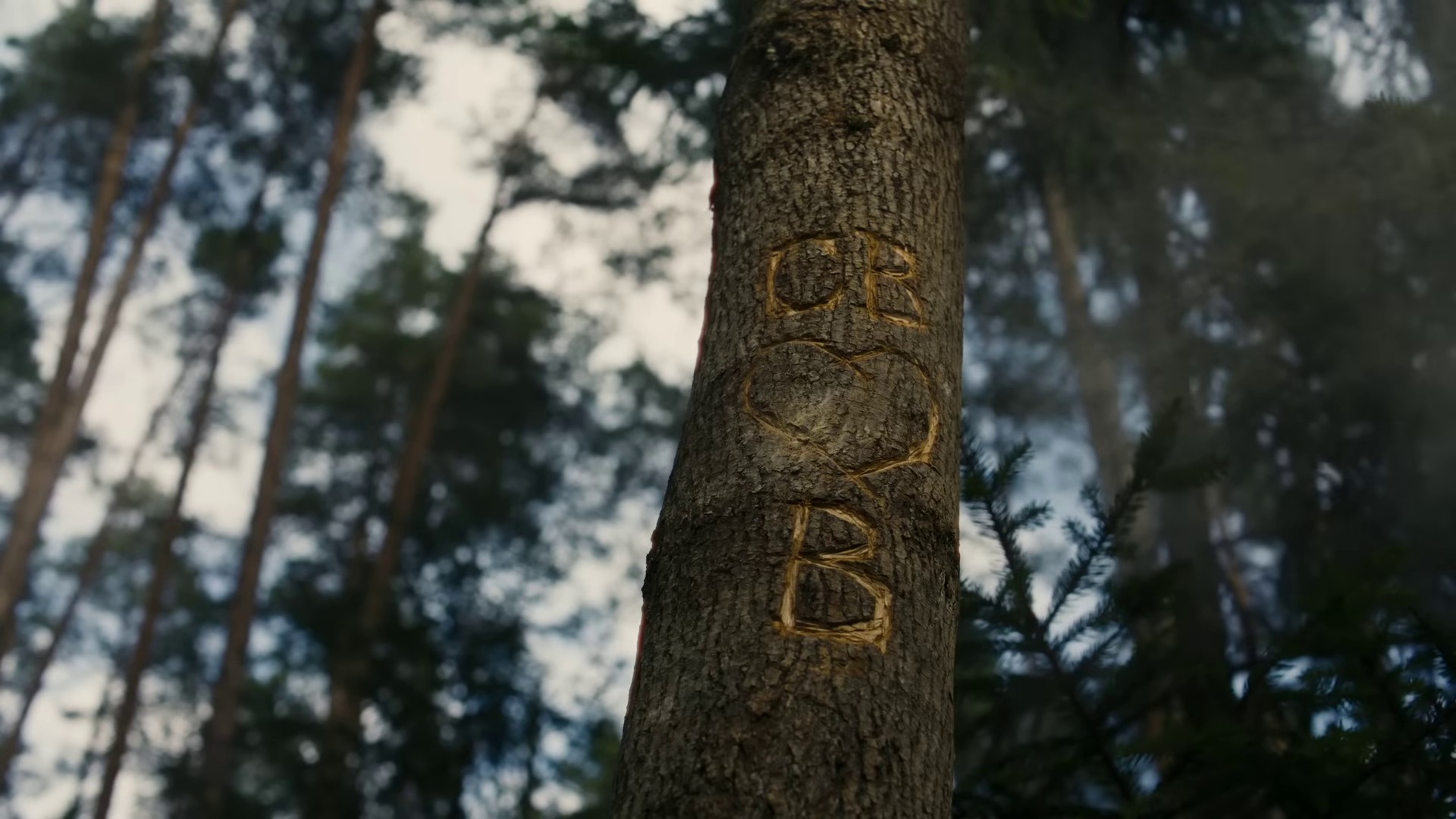 Skipping Like A Stone (2023) —  shot,  lighting