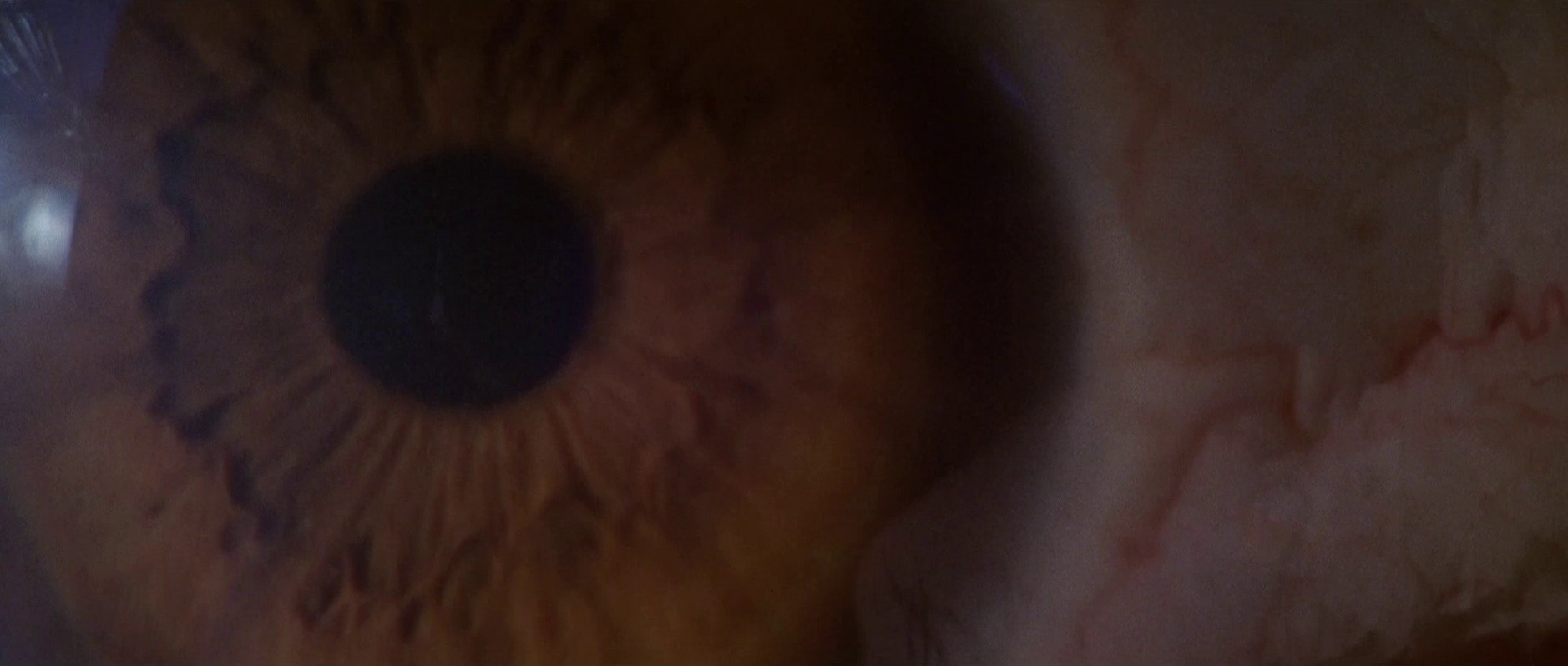 The Cat o' Nine Tails (1971) —  shot,  lighting