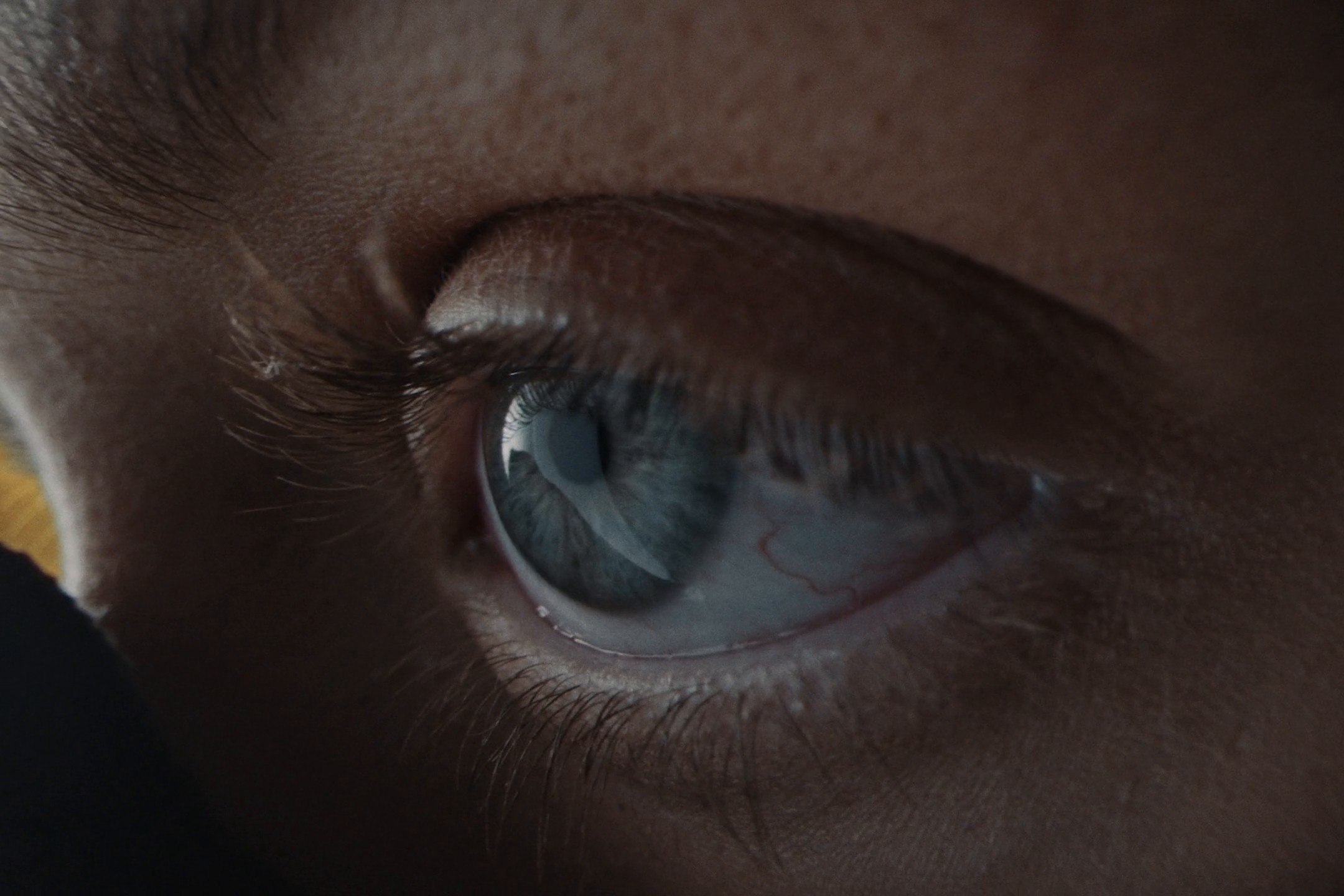 Tipsport Director's Cut (2024) —  shot,  lighting